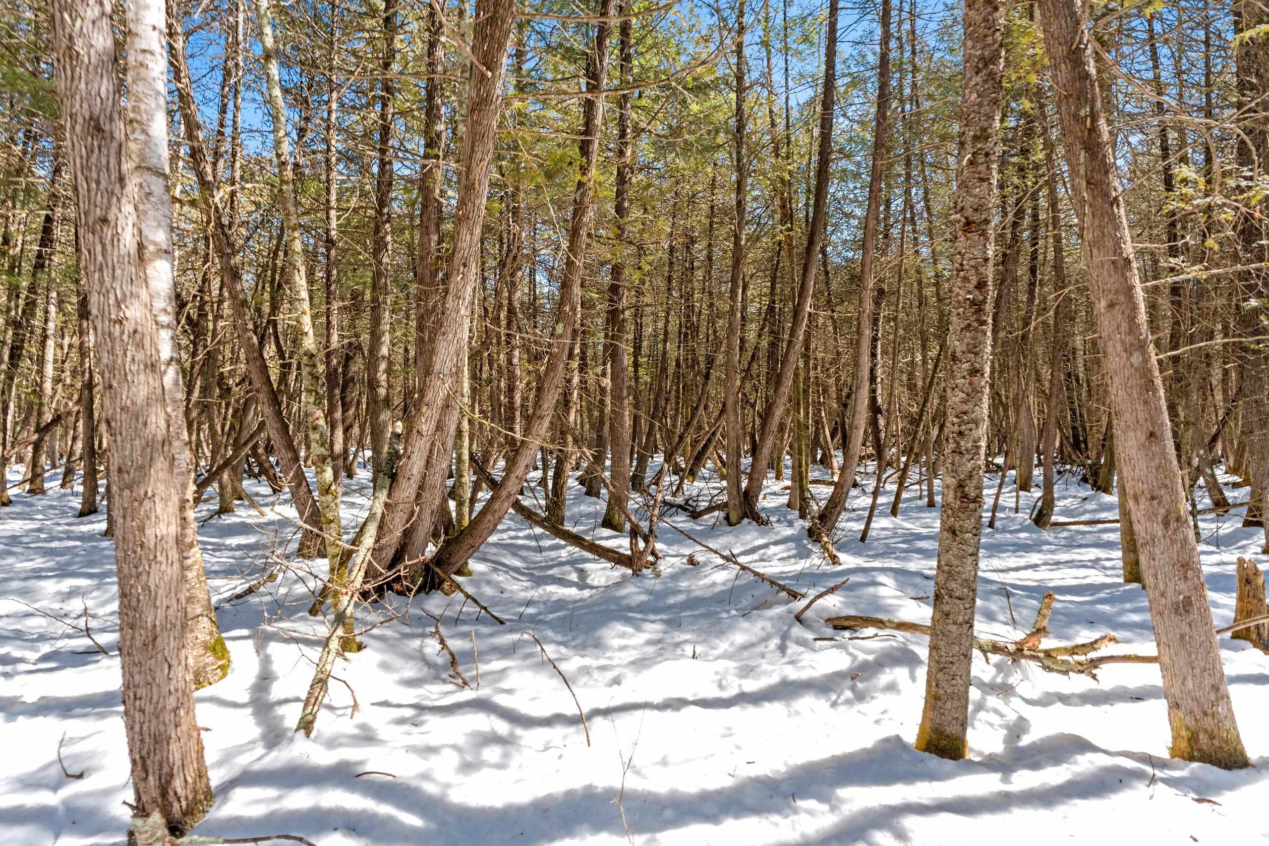 0 Menge Tigerton, WI 54486 - Photo 13 of 38