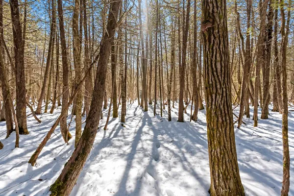 $150,000 | 0 Menge, Tigerton, WI 54486