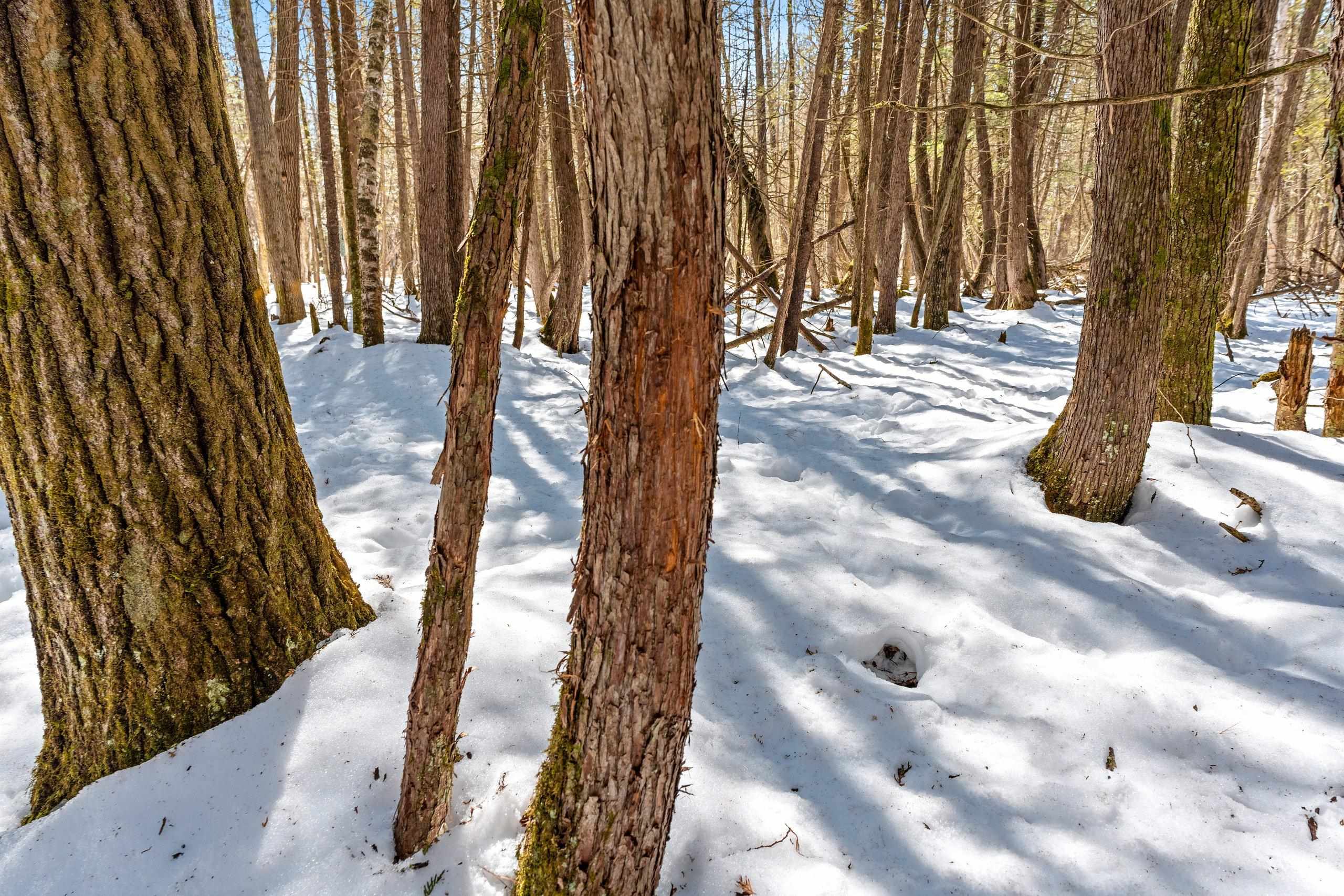 0 Menge Tigerton, WI 54486 - Photo 15 of 38