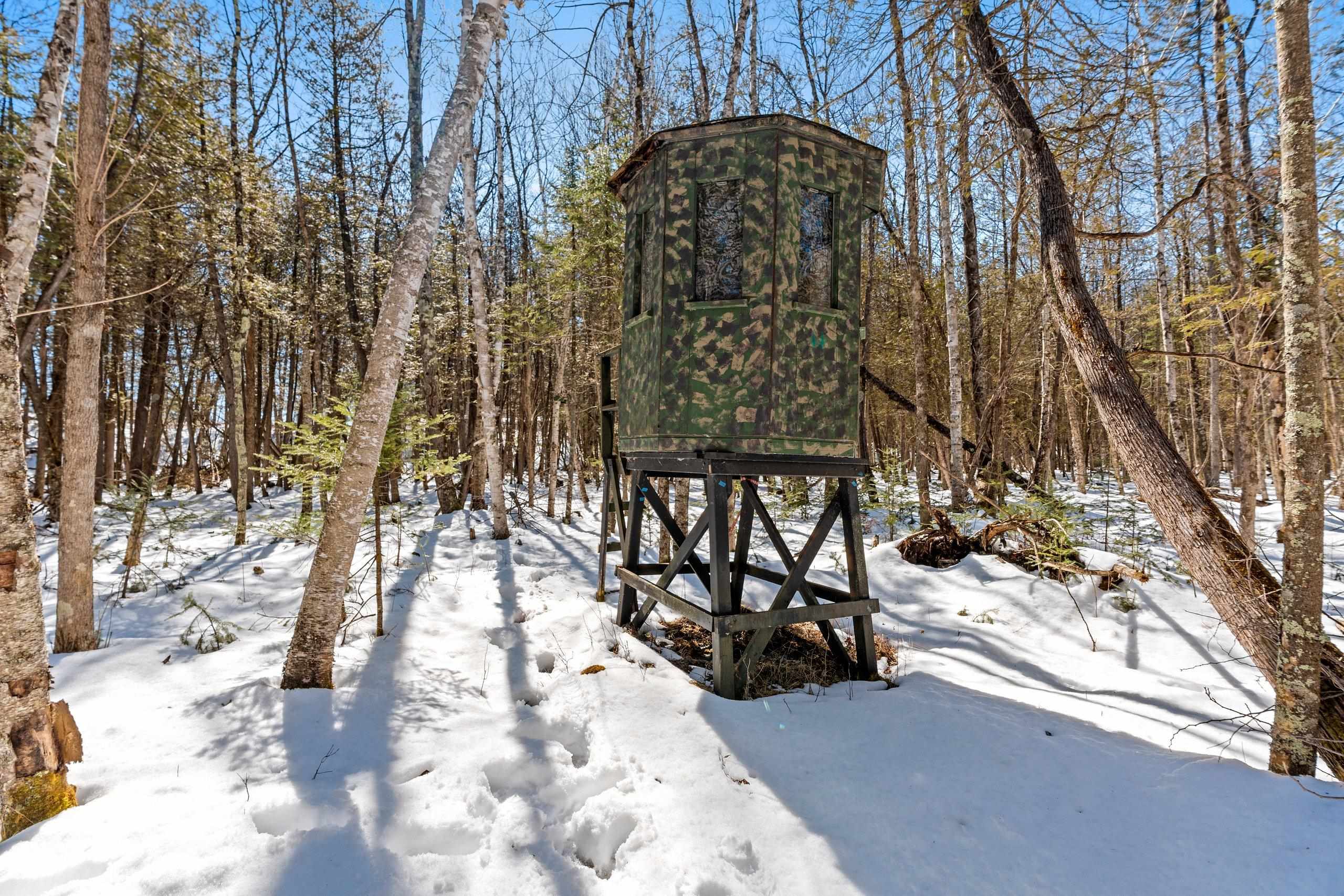 0 Menge Tigerton, WI 54486 - Photo 16 of 38