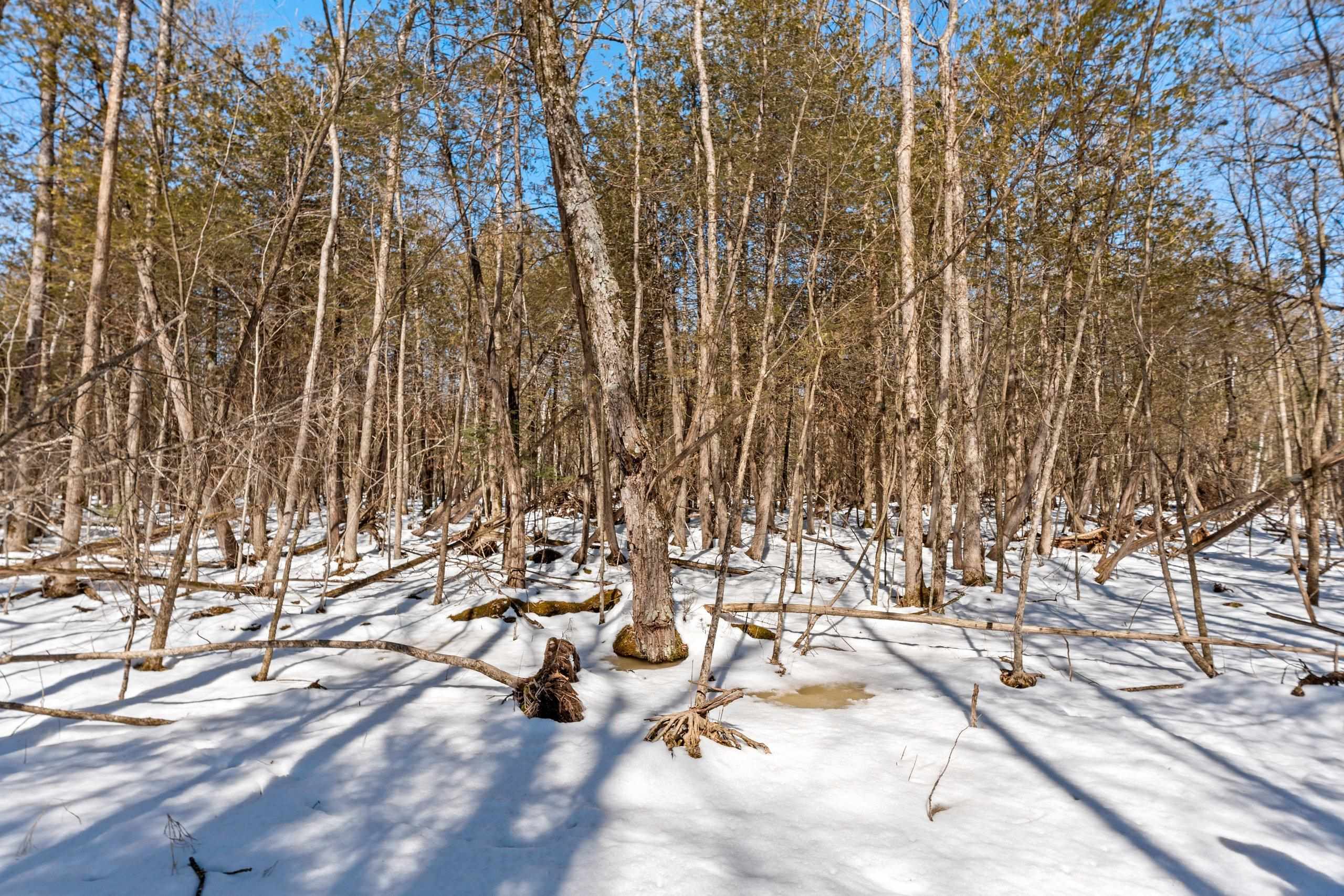 0 Menge Tigerton, WI 54486 - Photo 17 of 38