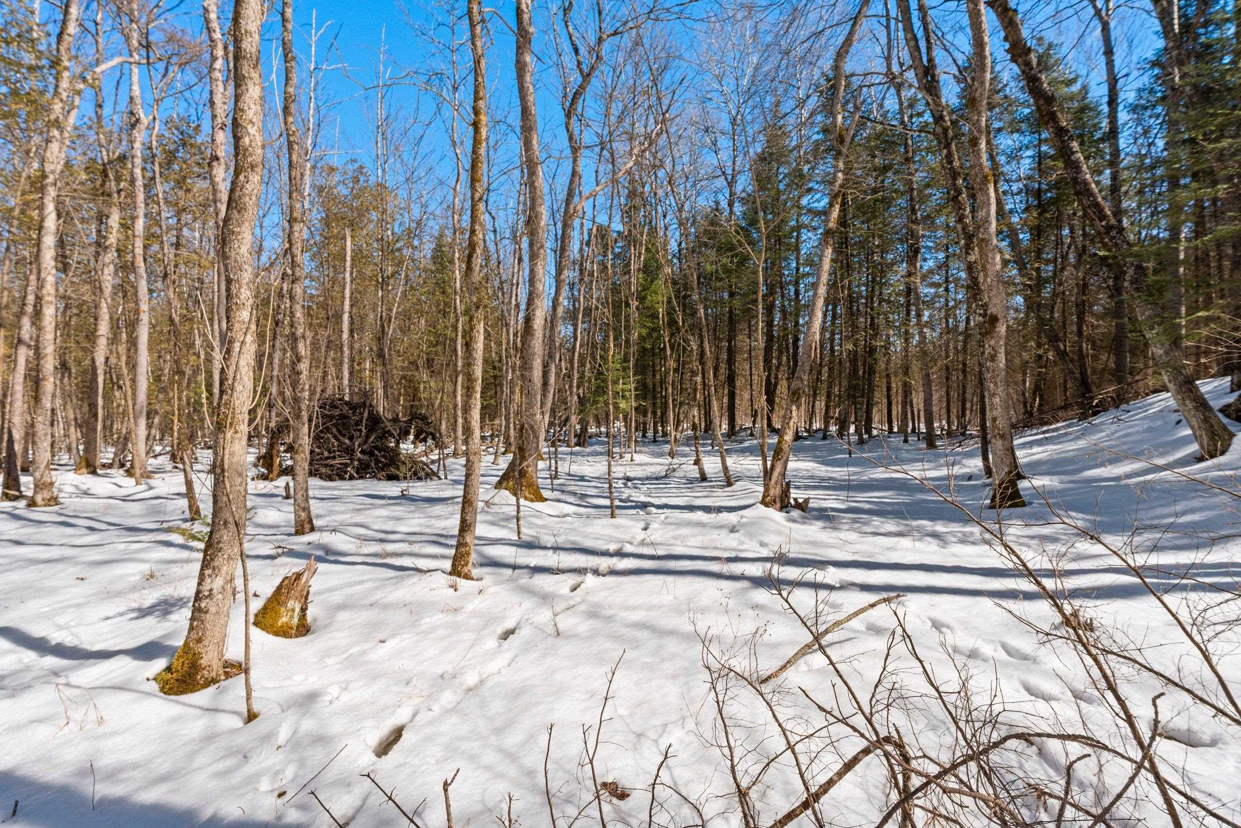 0 Menge Tigerton, WI 54486 - Photo 18 of 38