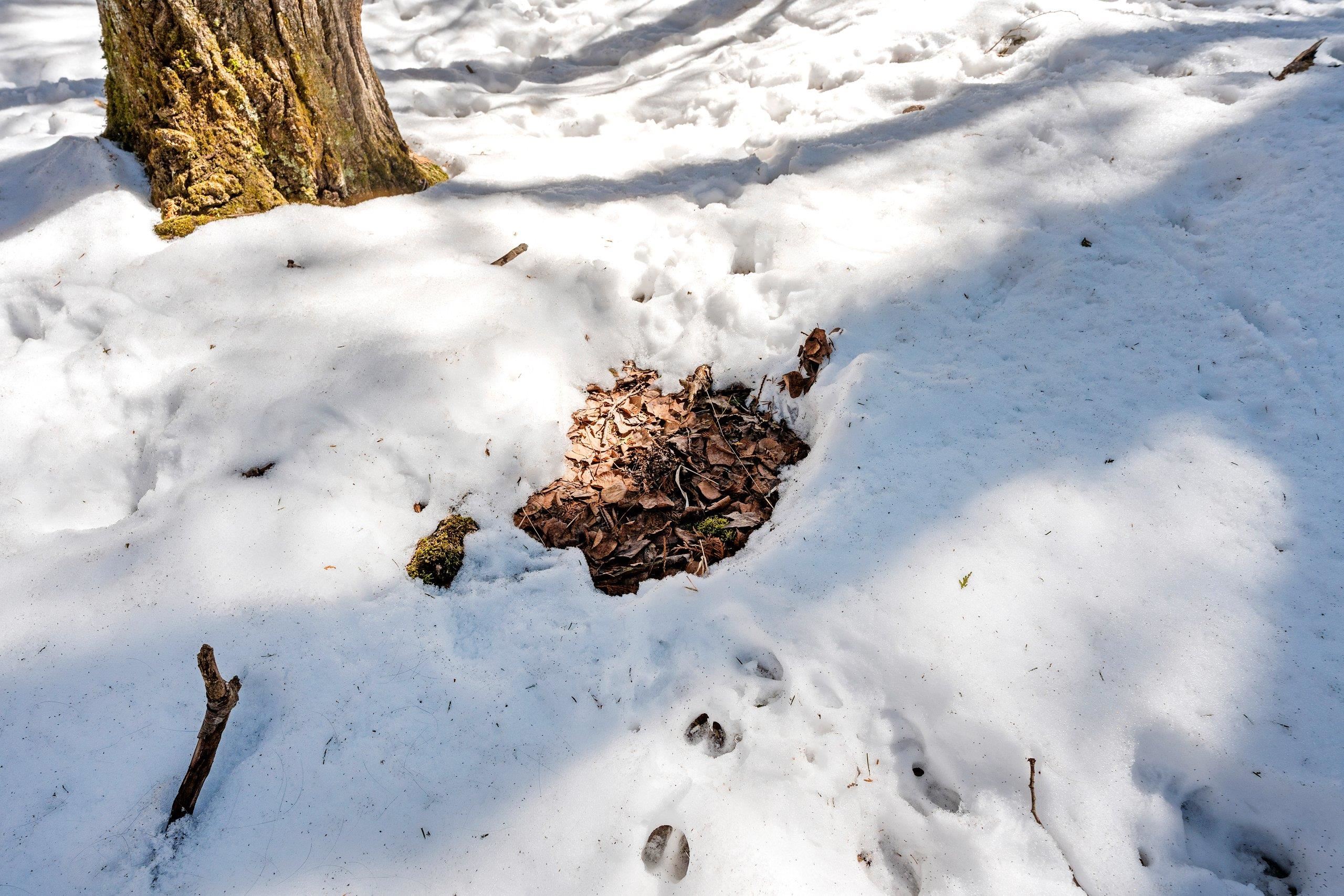 0 Menge Tigerton, WI 54486 - Photo 19 of 38