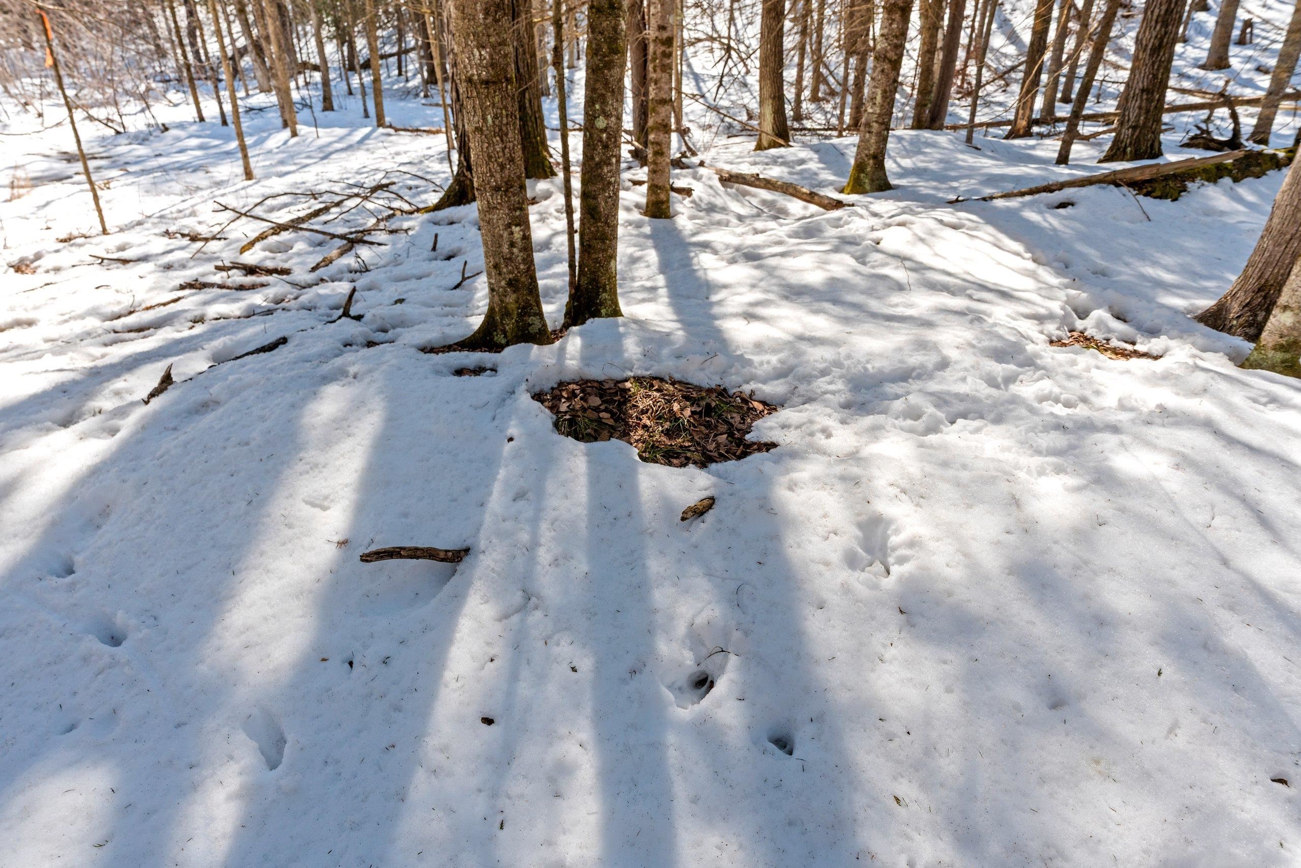 0 Menge Tigerton, WI 54486 - Photo 20 of 38