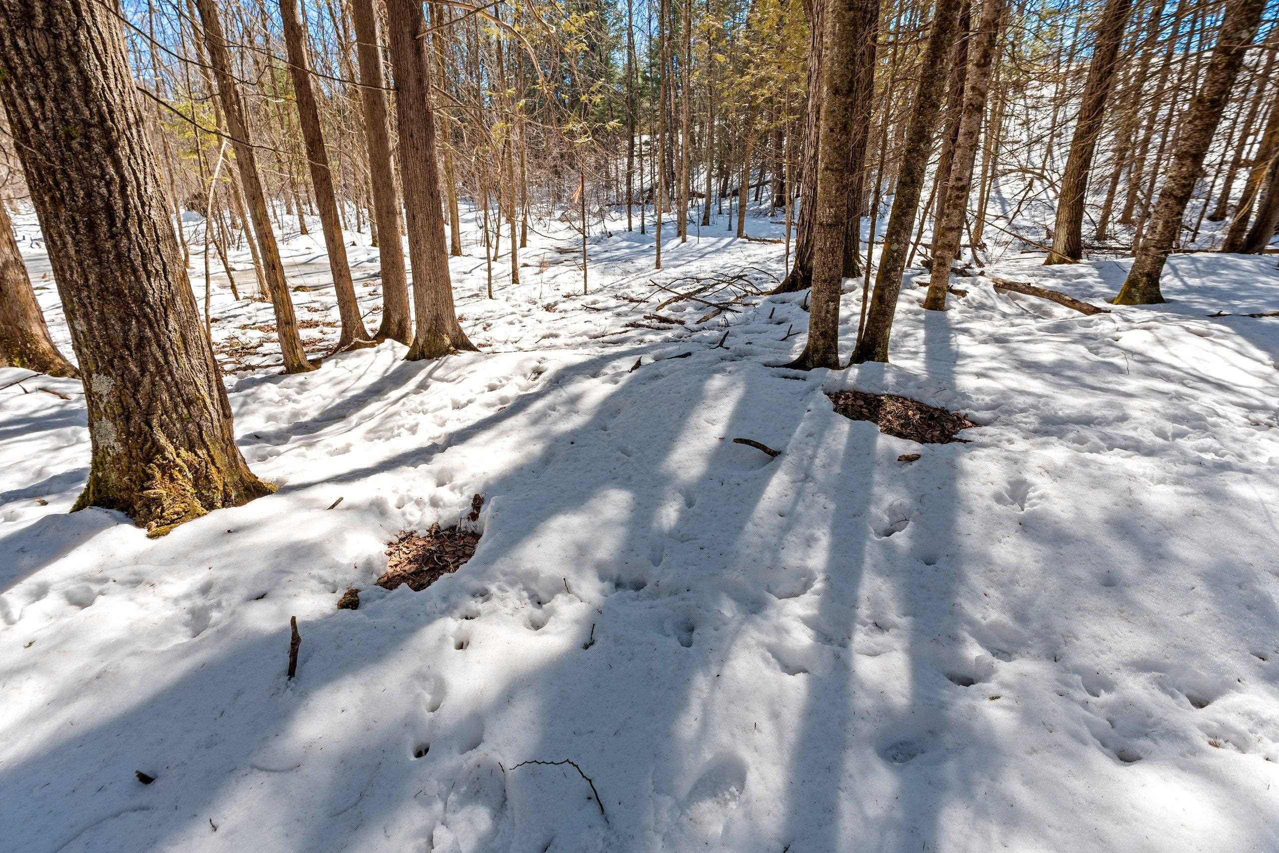 0 Menge Tigerton, WI 54486 - Photo 21 of 38