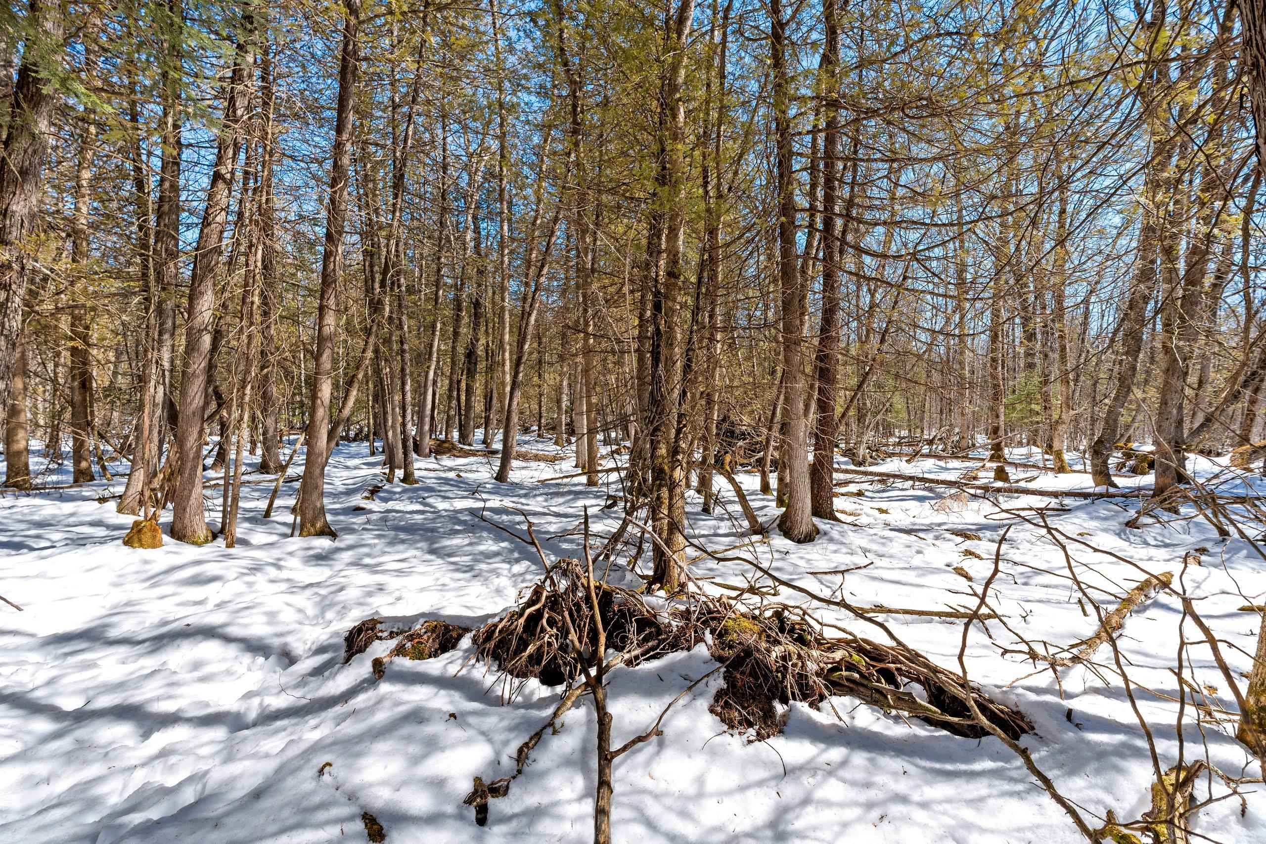 0 Menge Tigerton, WI 54486 - Photo 22 of 38