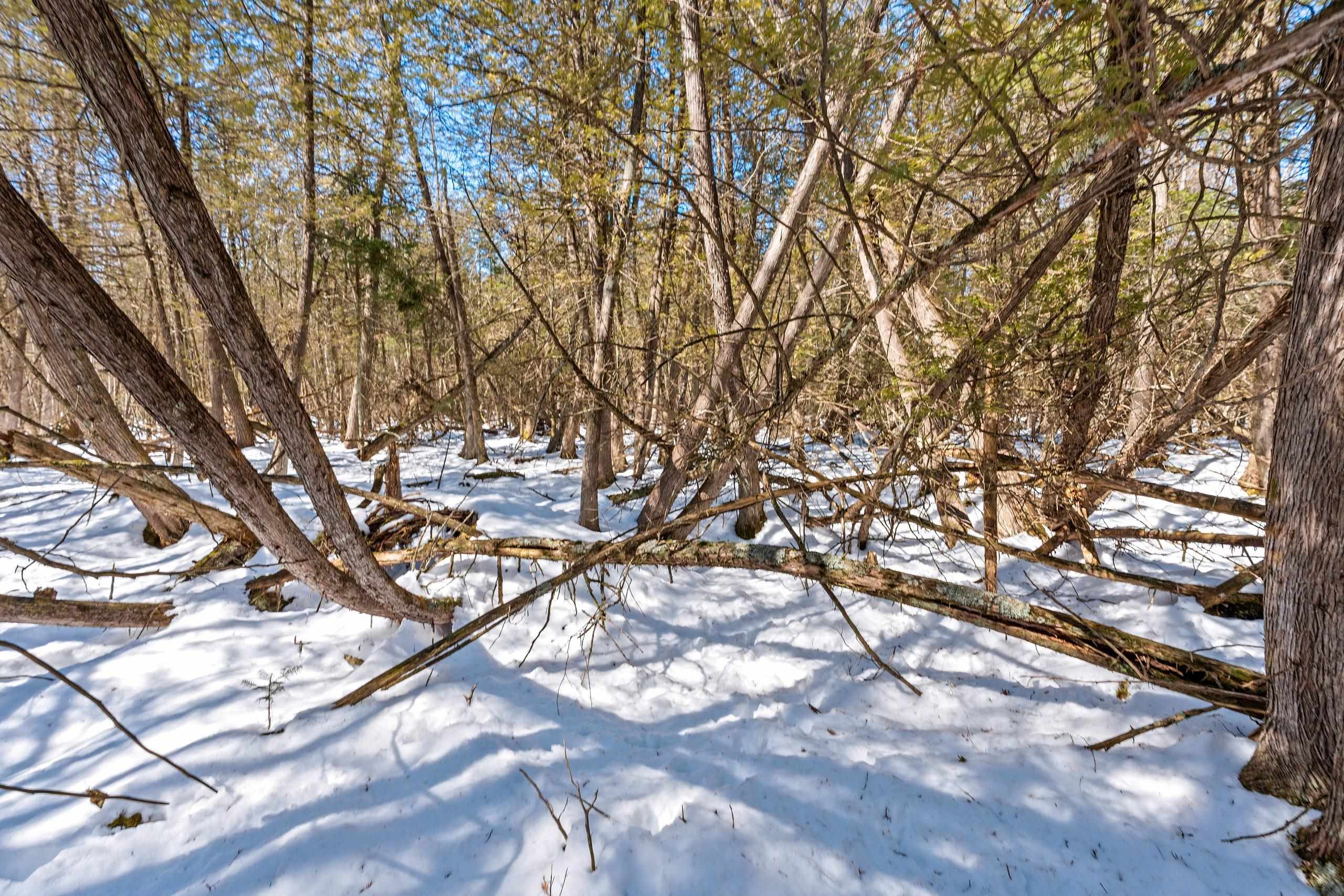 0 Menge Tigerton, WI 54486 - Photo 23 of 38