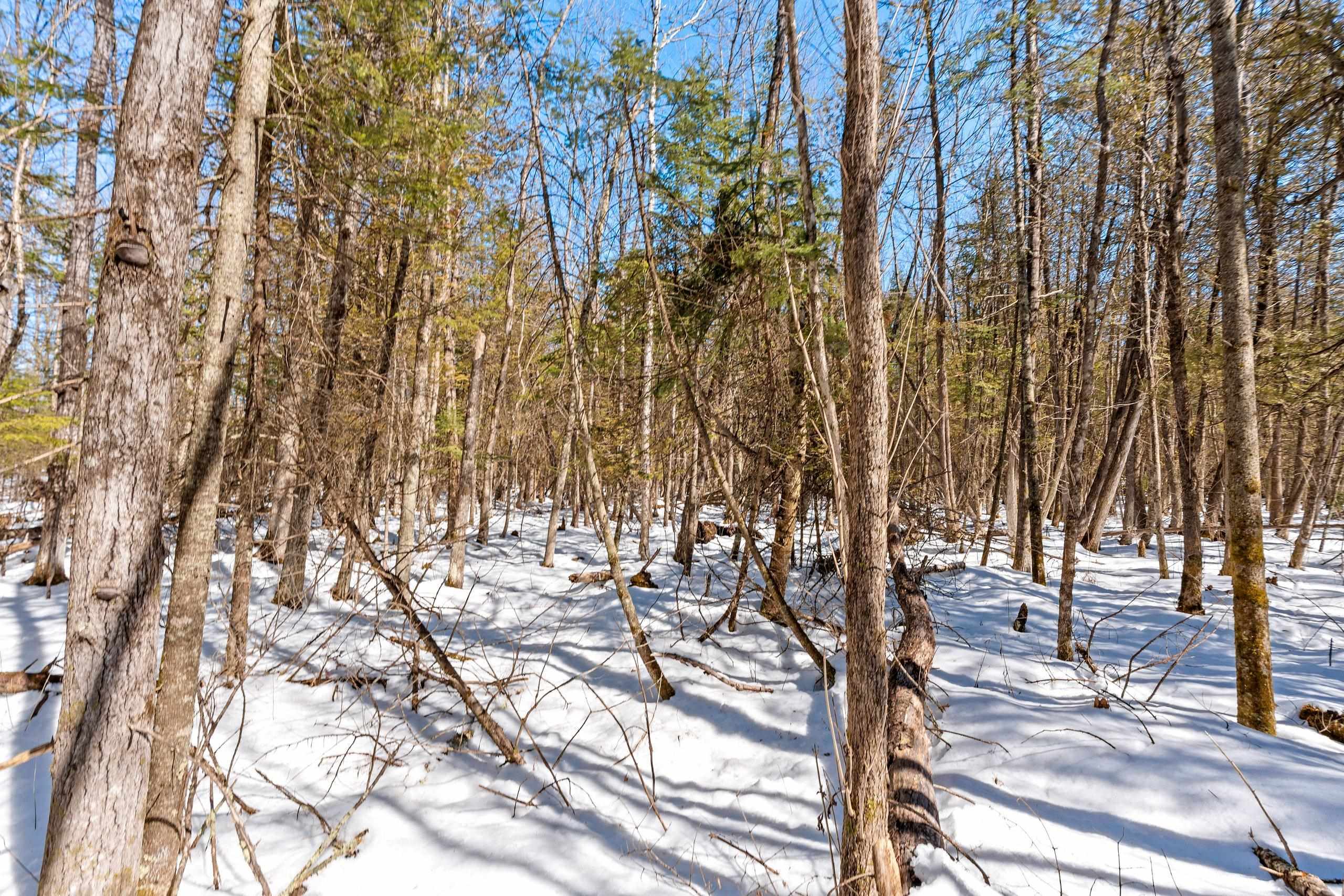 0 Menge Tigerton, WI 54486 - Photo 24 of 38