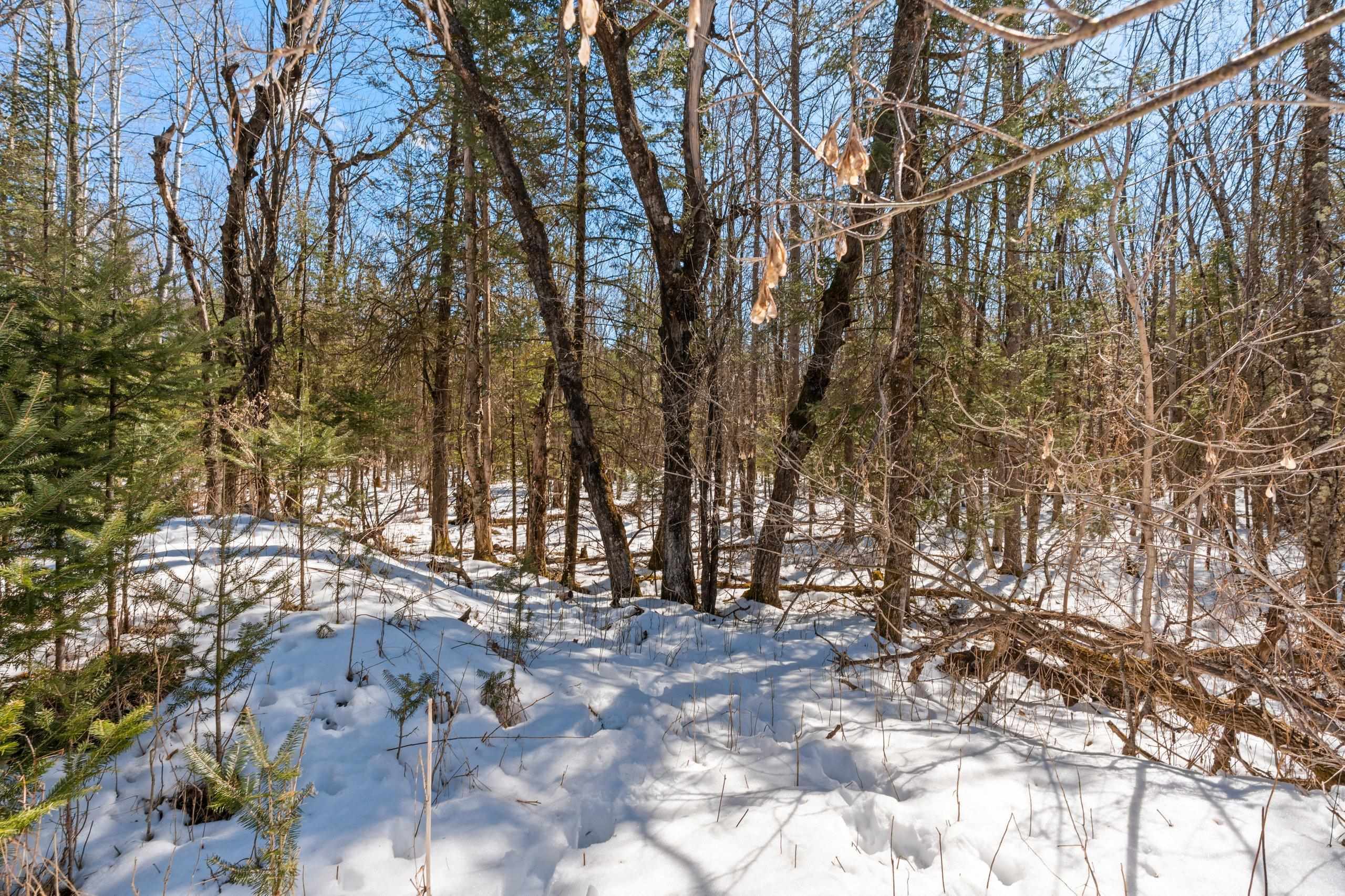 0 Menge Tigerton, WI 54486 - Photo 26 of 38