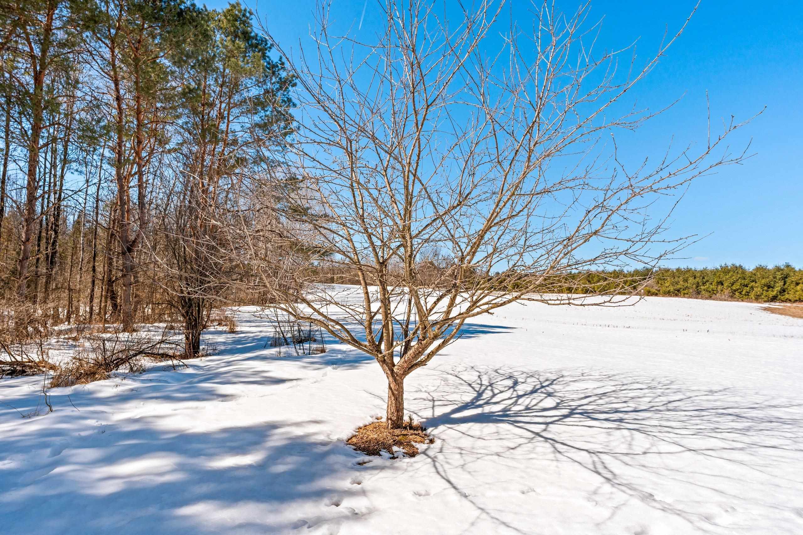 0 Menge Tigerton, WI 54486 - Photo 27 of 38