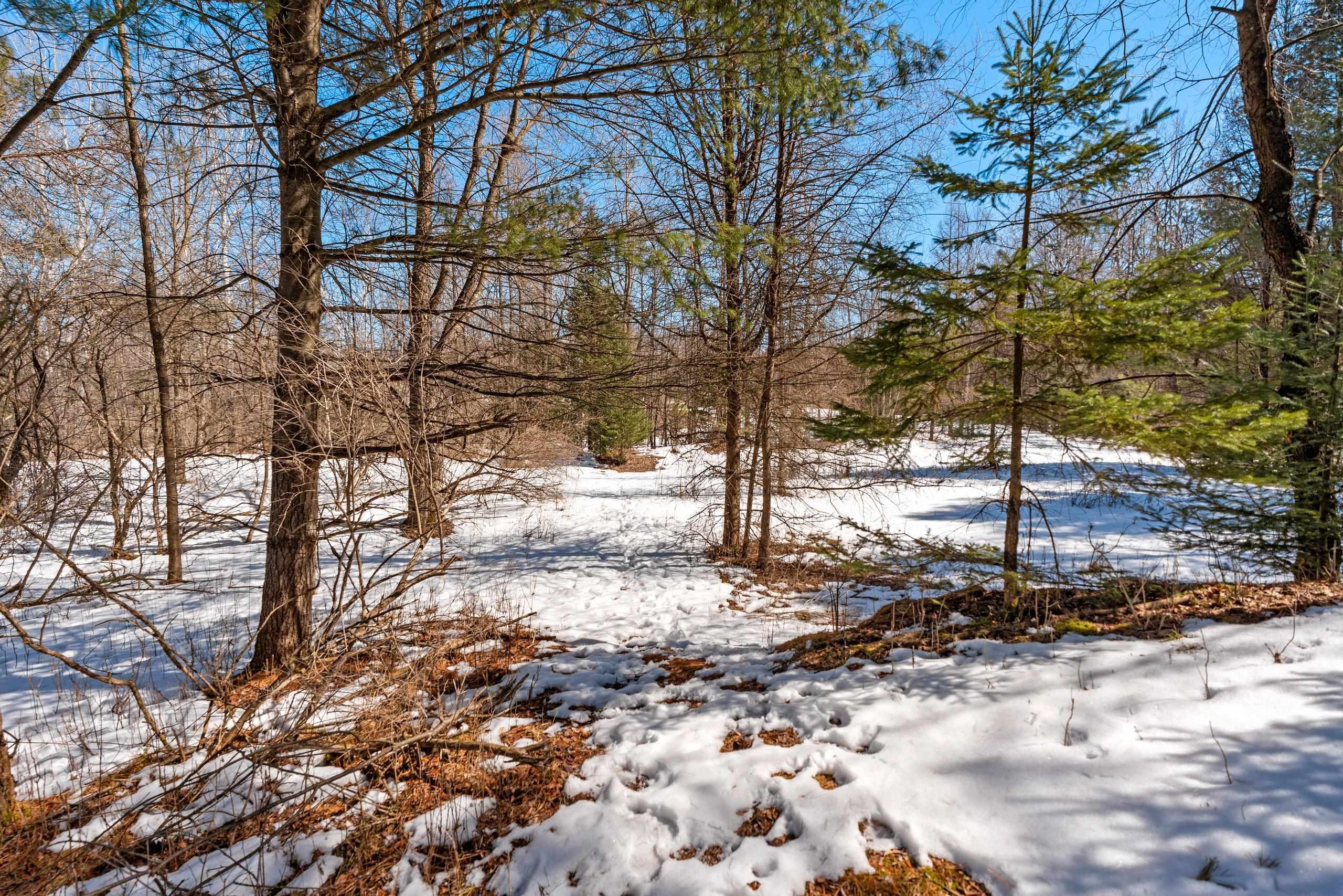 0 Menge Tigerton, WI 54486 - Photo 6 of 38