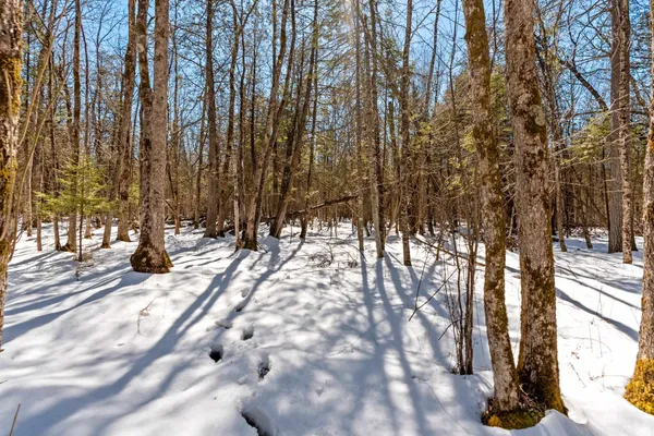 $150,000 | 0 Menge, Tigerton, WI 54486