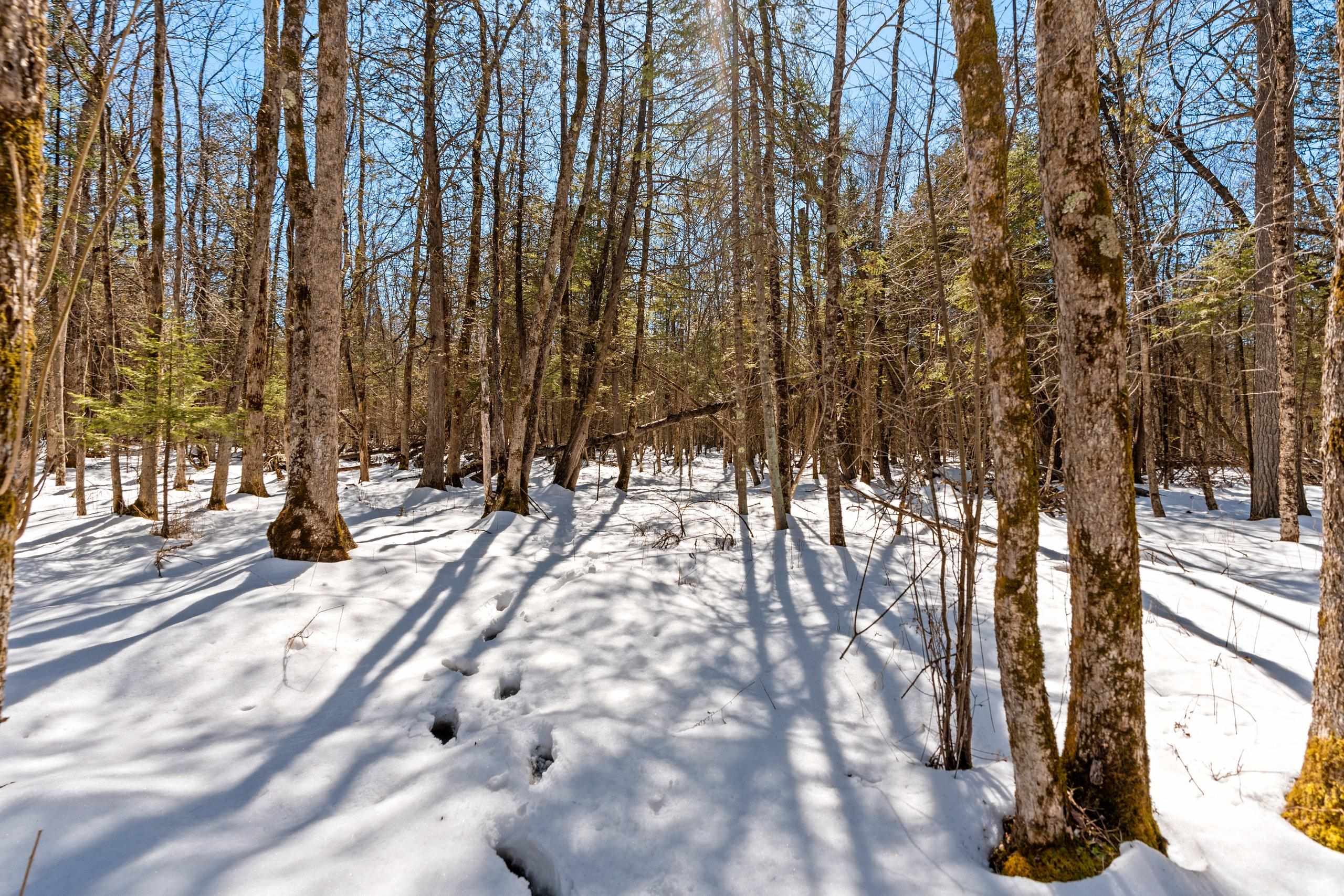 0 Menge Tigerton, WI 54486 - Photo 8 of 38