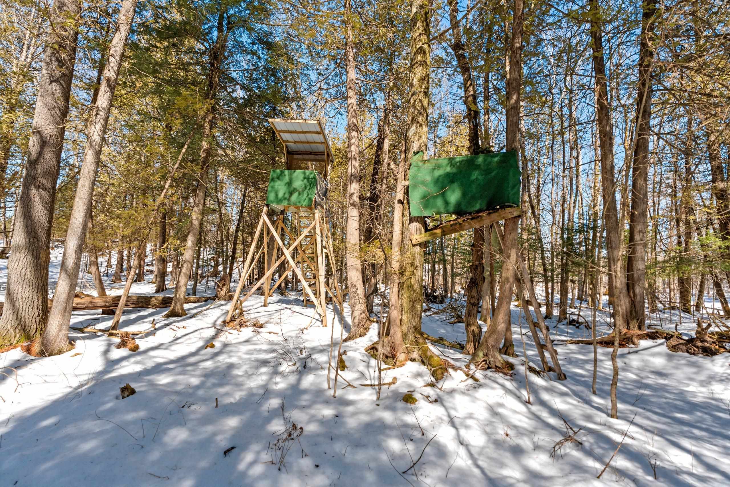 0 Menge Tigerton, WI 54486 - Photo 9 of 38