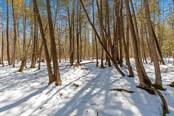 $150,000 | 0 Menge, Tigerton, WI 54486