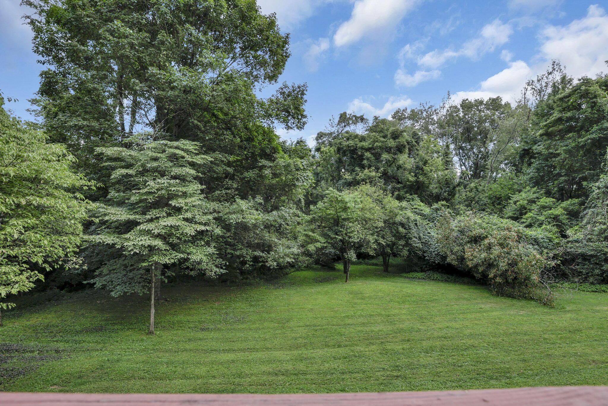 8615 Benson Road Northwest Carroll, OH 43112 - Photo 51 of 68 50-web-or-mls-_S5A2225
