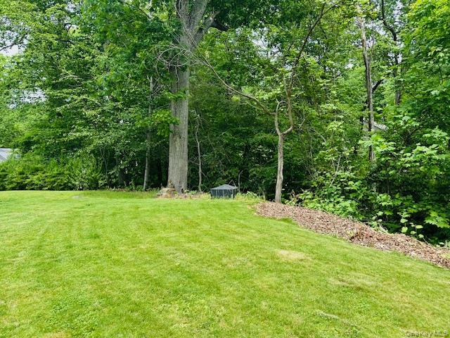 15 Roanoke Road Patterson, NY 12563 - Photo 24 of 48