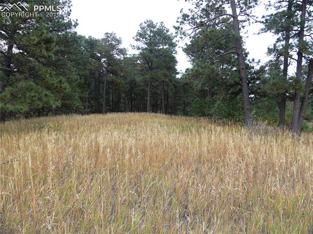 18115 Cumbres Road Peyton, CO 80831 - Photo 8 of 16 Gallery Image 8