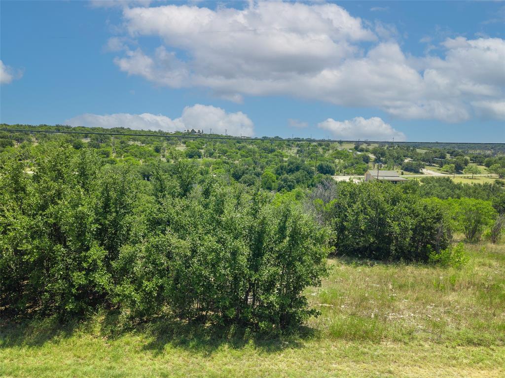 8021 Hells Gate Loop Strawn, TX 76475 - Photo 5 of 39 a view of a garden