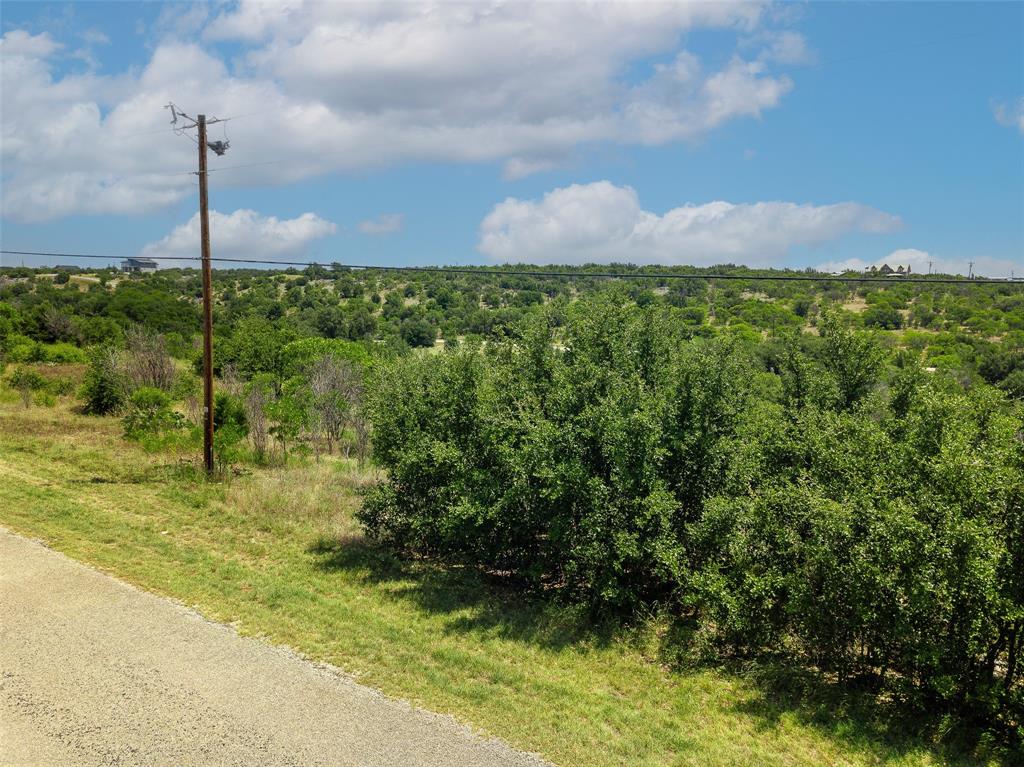 8021 Hells Gate Loop Strawn, TX 76475 - Photo 7 of 39 a view of a garden with a tree