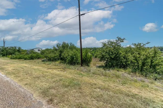 a view of a yard with an tree