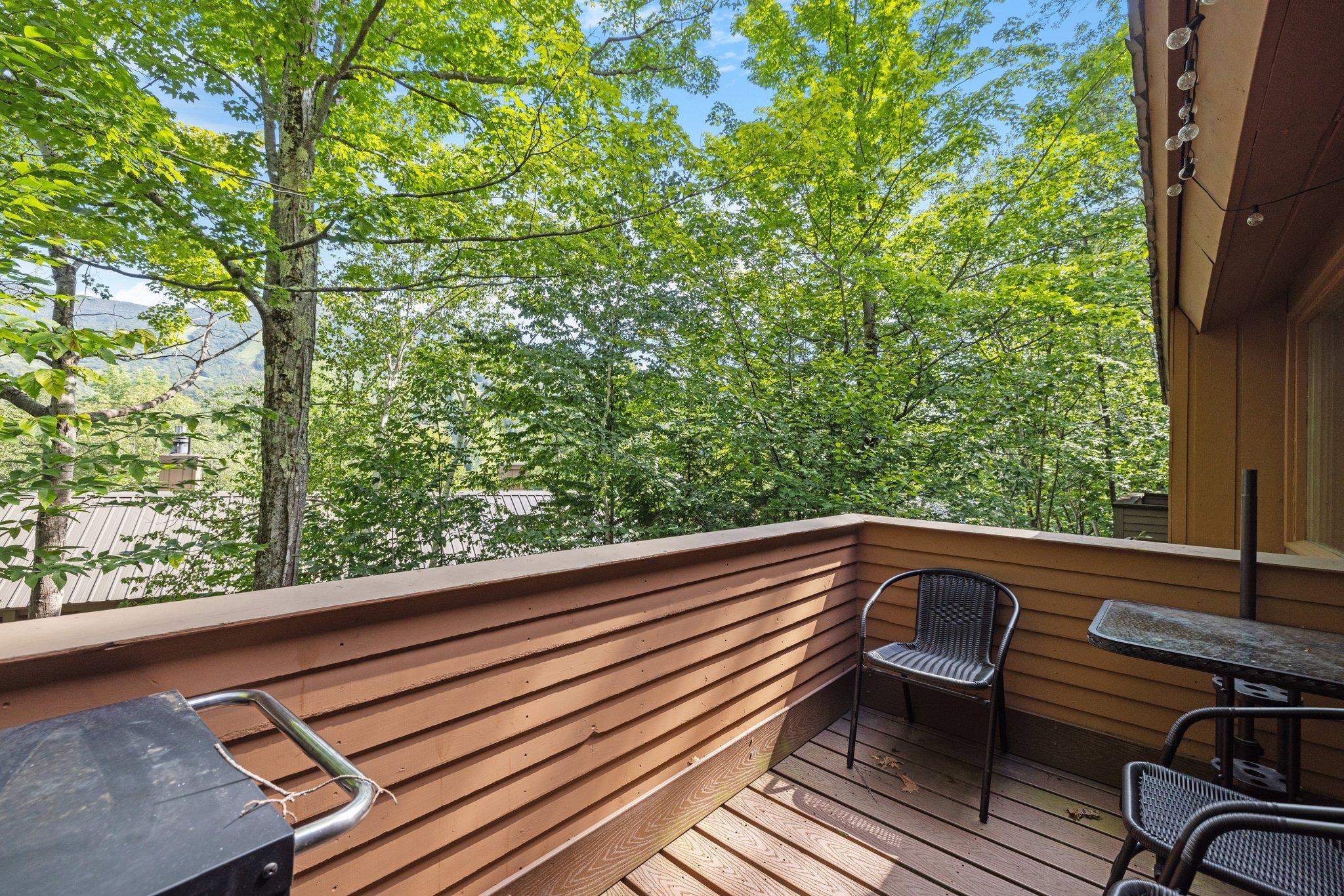 37 Whaleback Road, Unit 3 Lincoln, NH 03251 - Photo 38 of 39