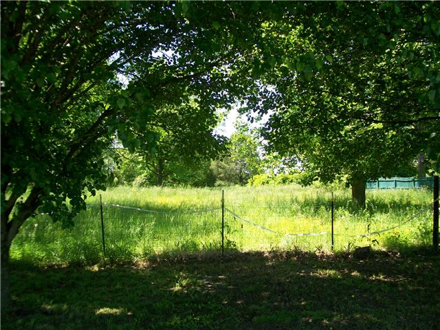 97 Roscoe Road Morrison, TN 37357 - Photo 5 of 8