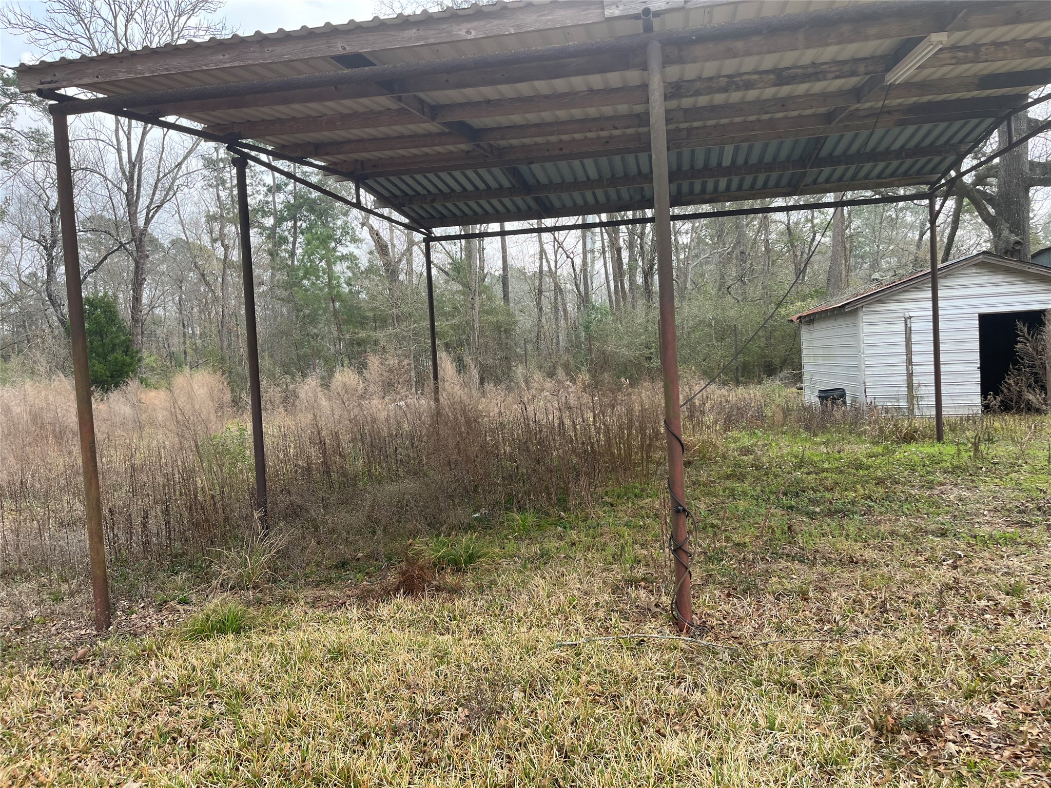 48 Magnolia Road New Caney, TX 77357 - Photo 12 of 12 a backyard of a house