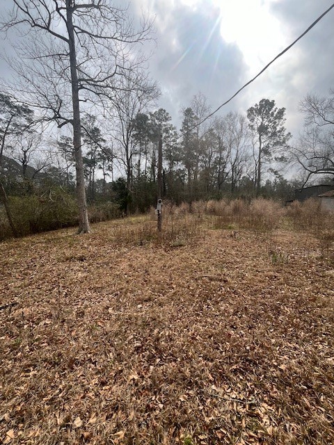48 Magnolia Road New Caney, TX 77357 - Photo 3 of 12 a backyard of a house with lots of green space
