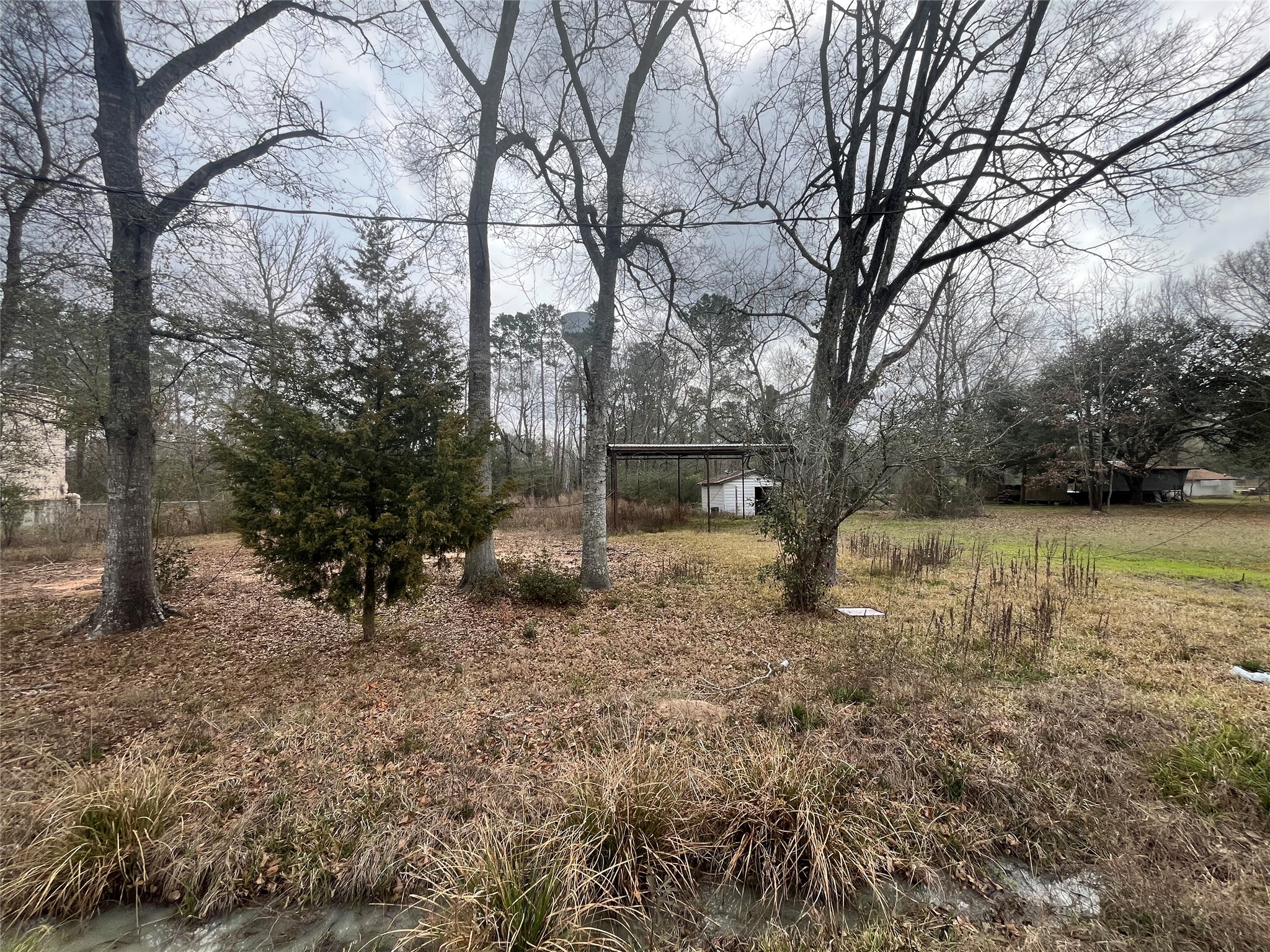 48 Magnolia Road New Caney, TX 77357 - Photo 6 of 12 a backyard of a house with lots of green space