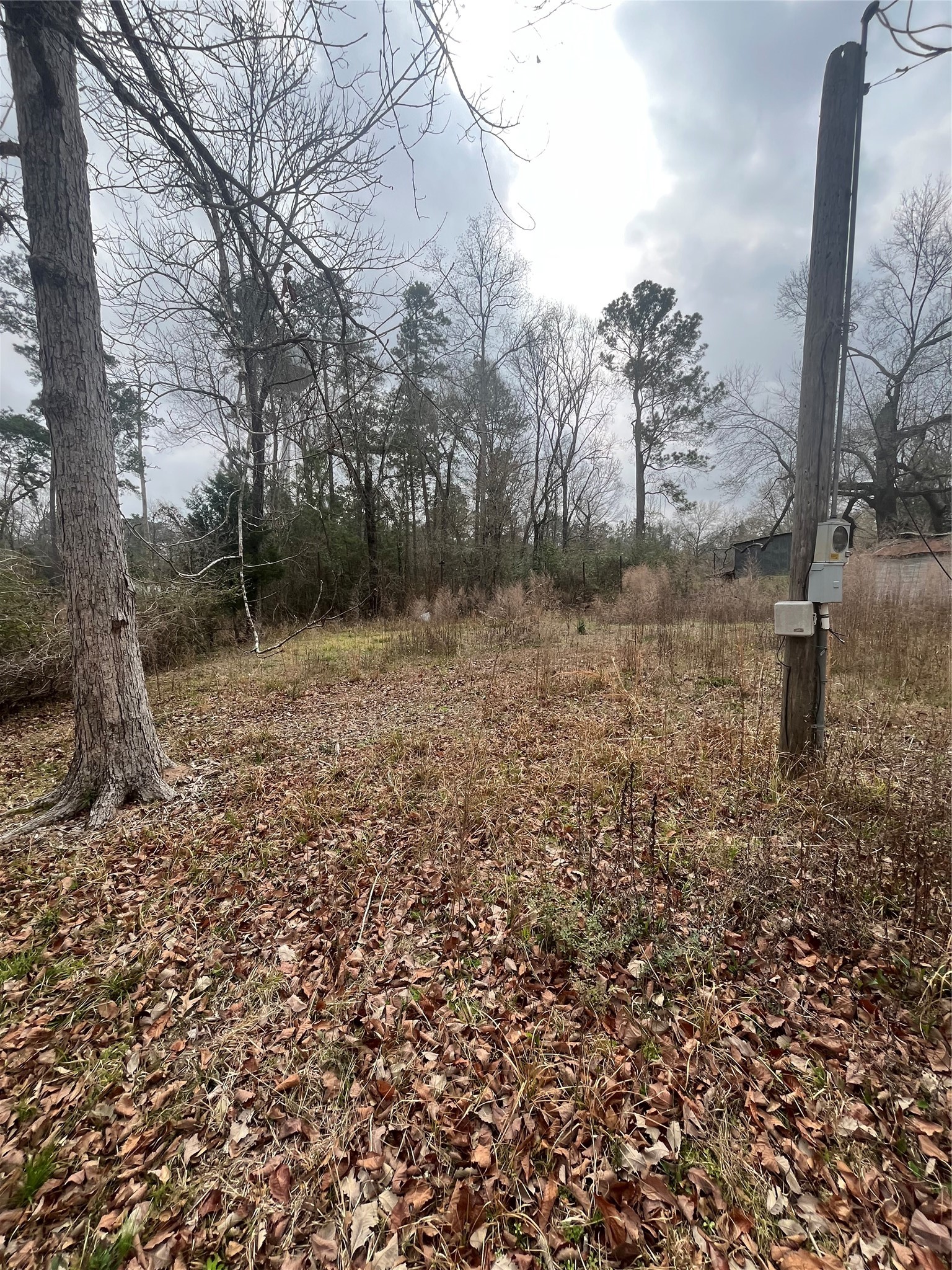 48 Magnolia Road New Caney, TX 77357 - Photo 8 of 12 a backyard of a house with lots of green space