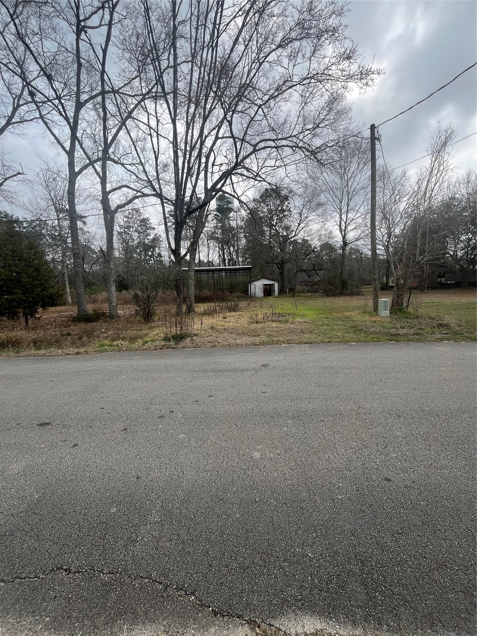 48 Magnolia Road New Caney, TX 77357 - Photo 9 of 12 a view of dirt yard with large trees