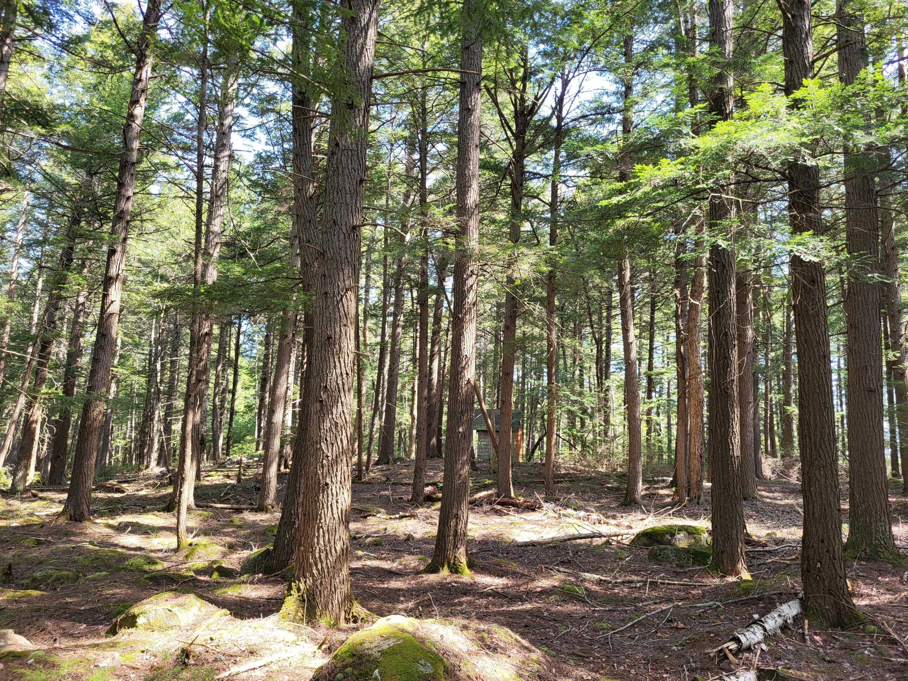 7 Poplar Point Road Mount Vernon, ME 04352 - Photo 50 of 57 33