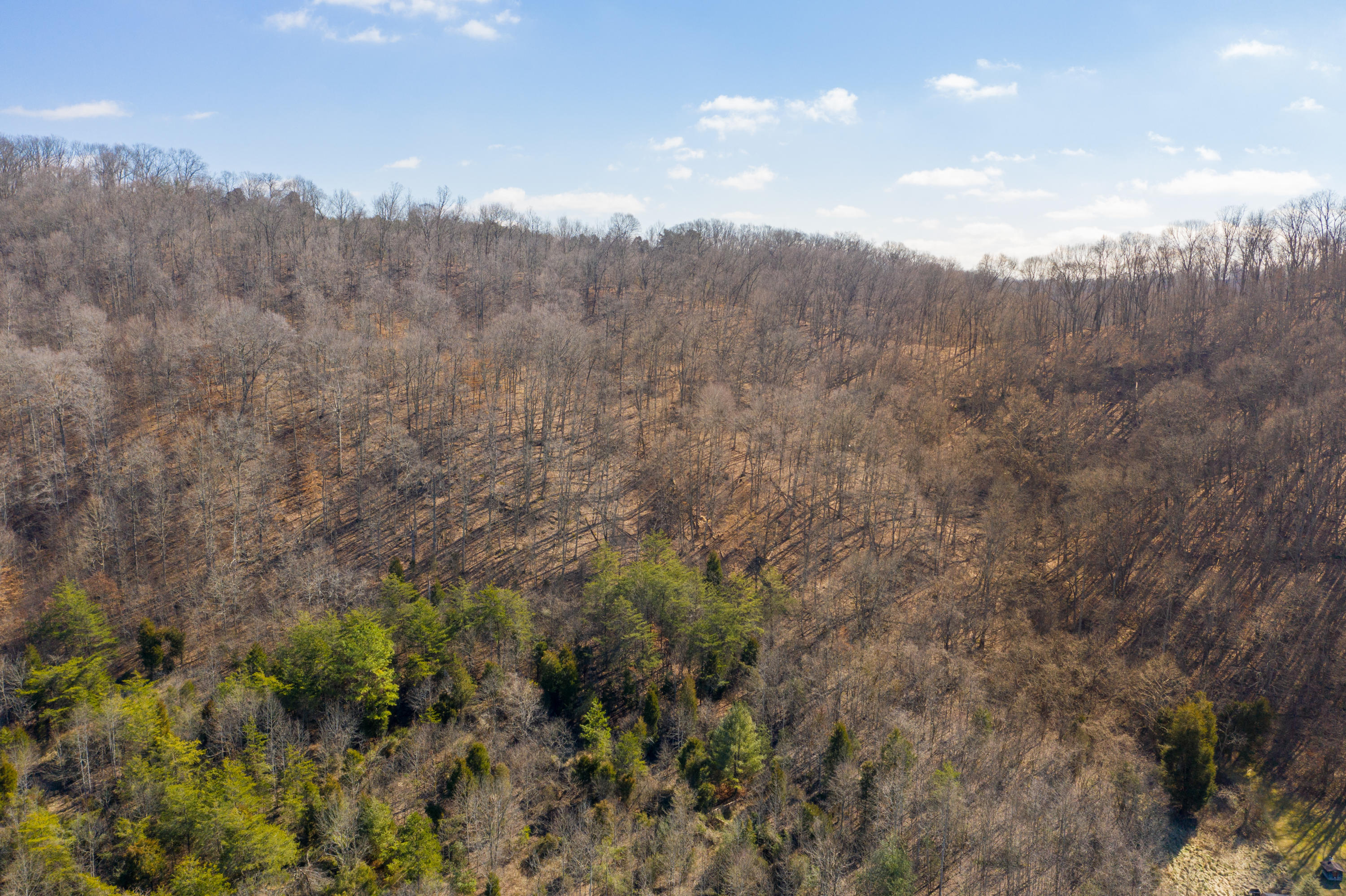 0 Cooks Valley Road, Unit 2 Kingsport, TN 37664 - Photo 16 of 25 Cooks Valley Land-19