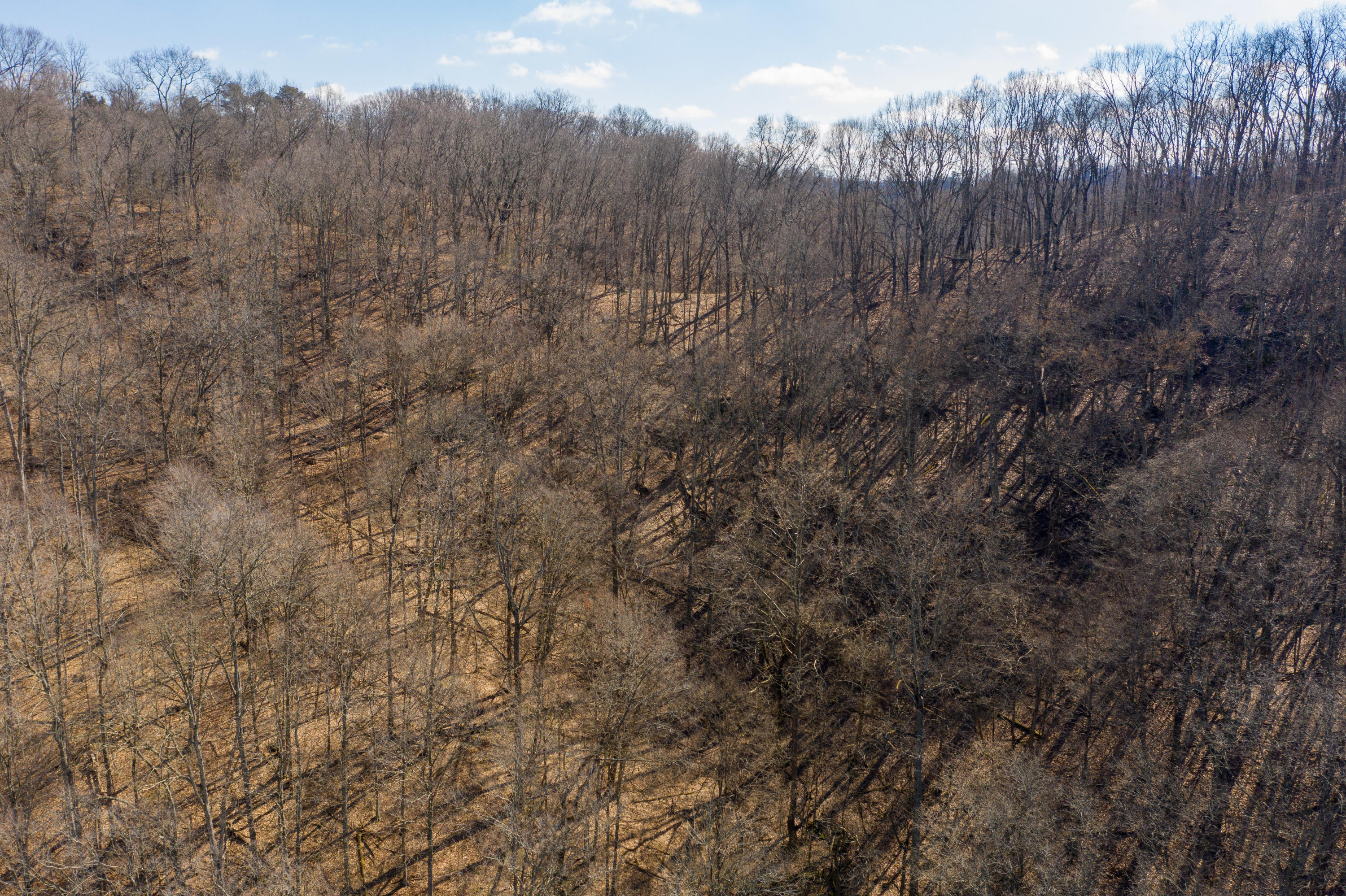0 Cooks Valley Road, Unit 2 Kingsport, TN 37664 - Photo 17 of 25 Cooks Valley Land-18