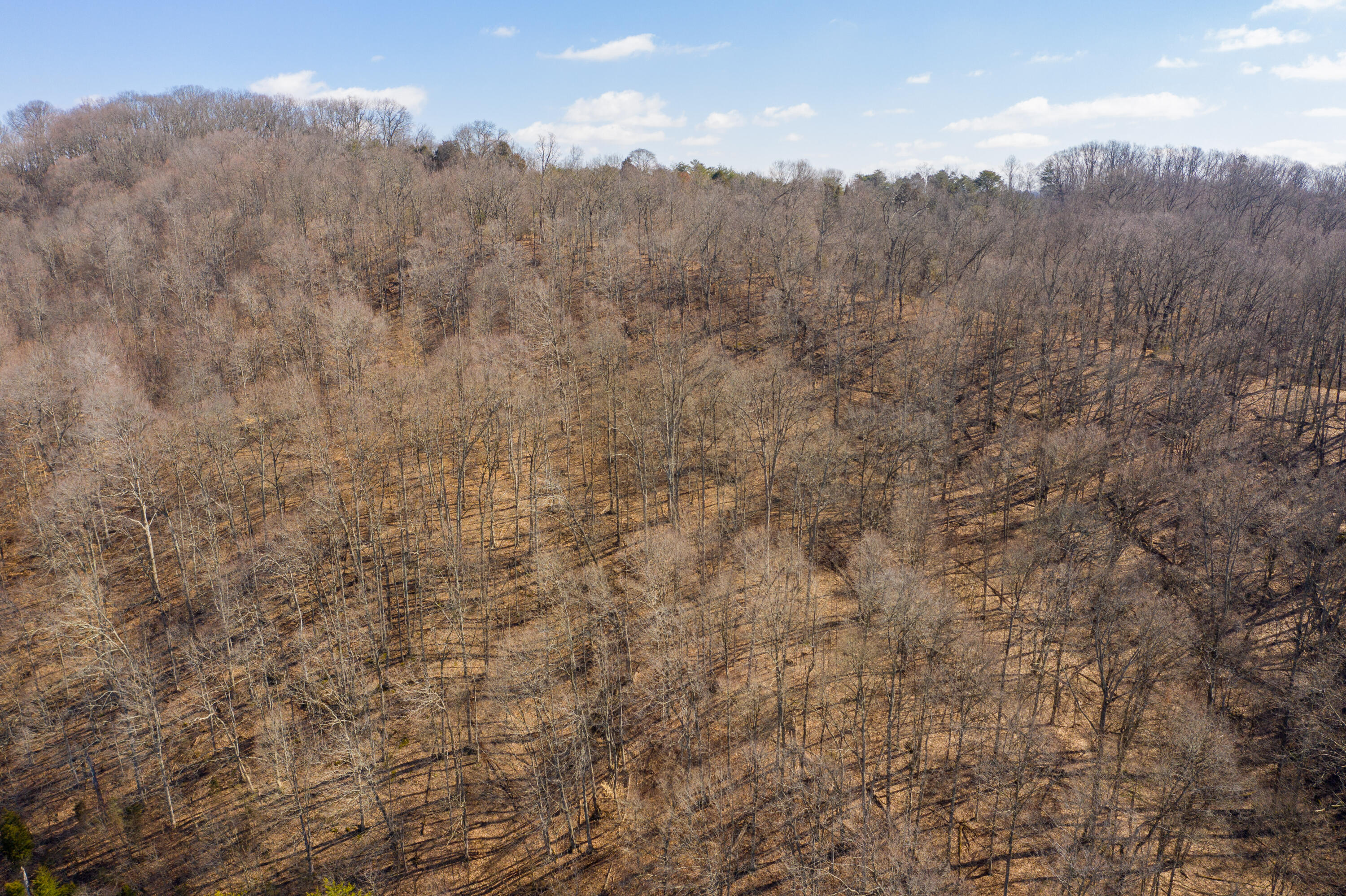 0 Cooks Valley Road, Unit 2 Kingsport, TN 37664 - Photo 18 of 25 Cooks Valley Land-17