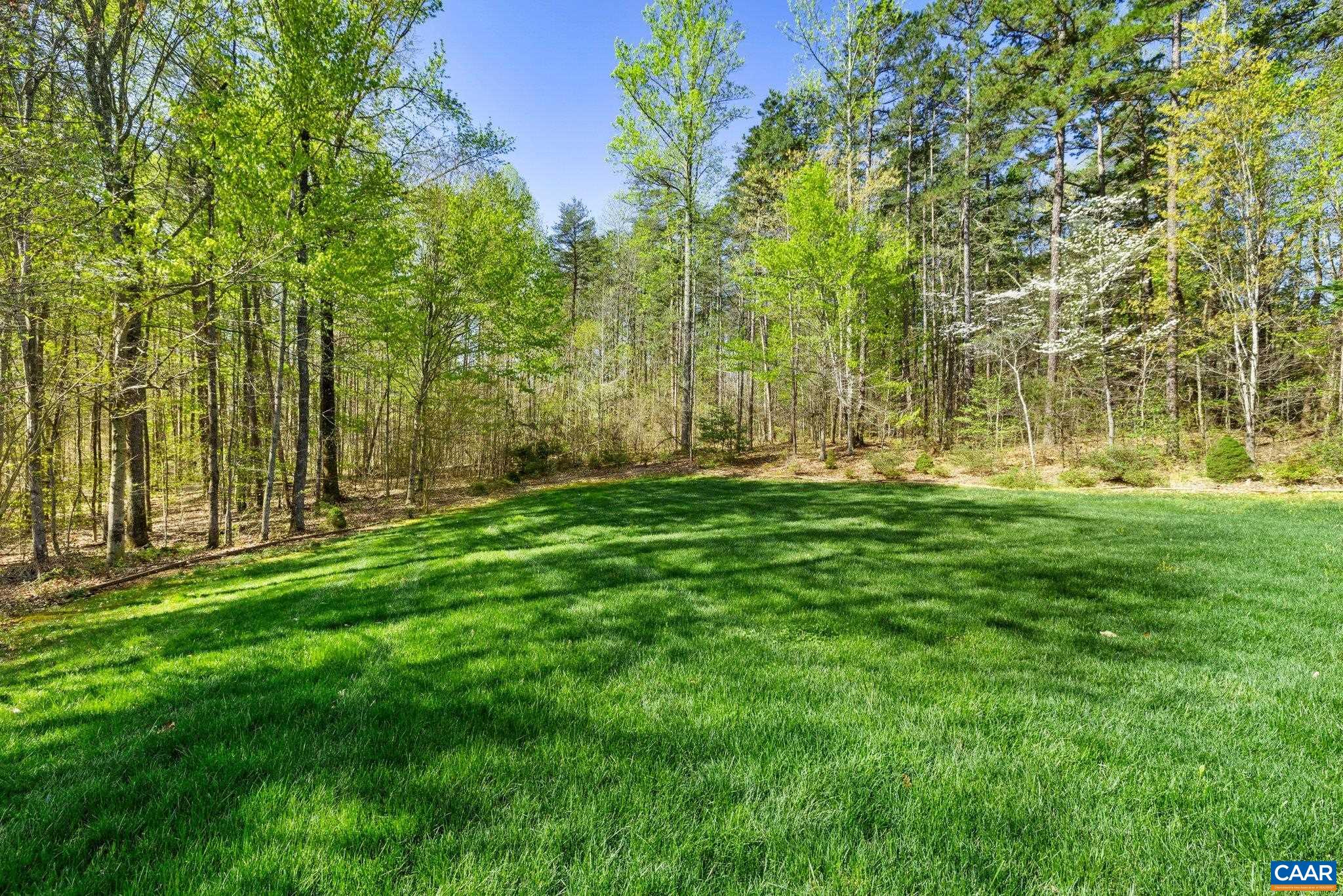 5437 3 Notch Road Louisa, VA 23093 - Photo 8 of 35 a backyard of apartments with large trees