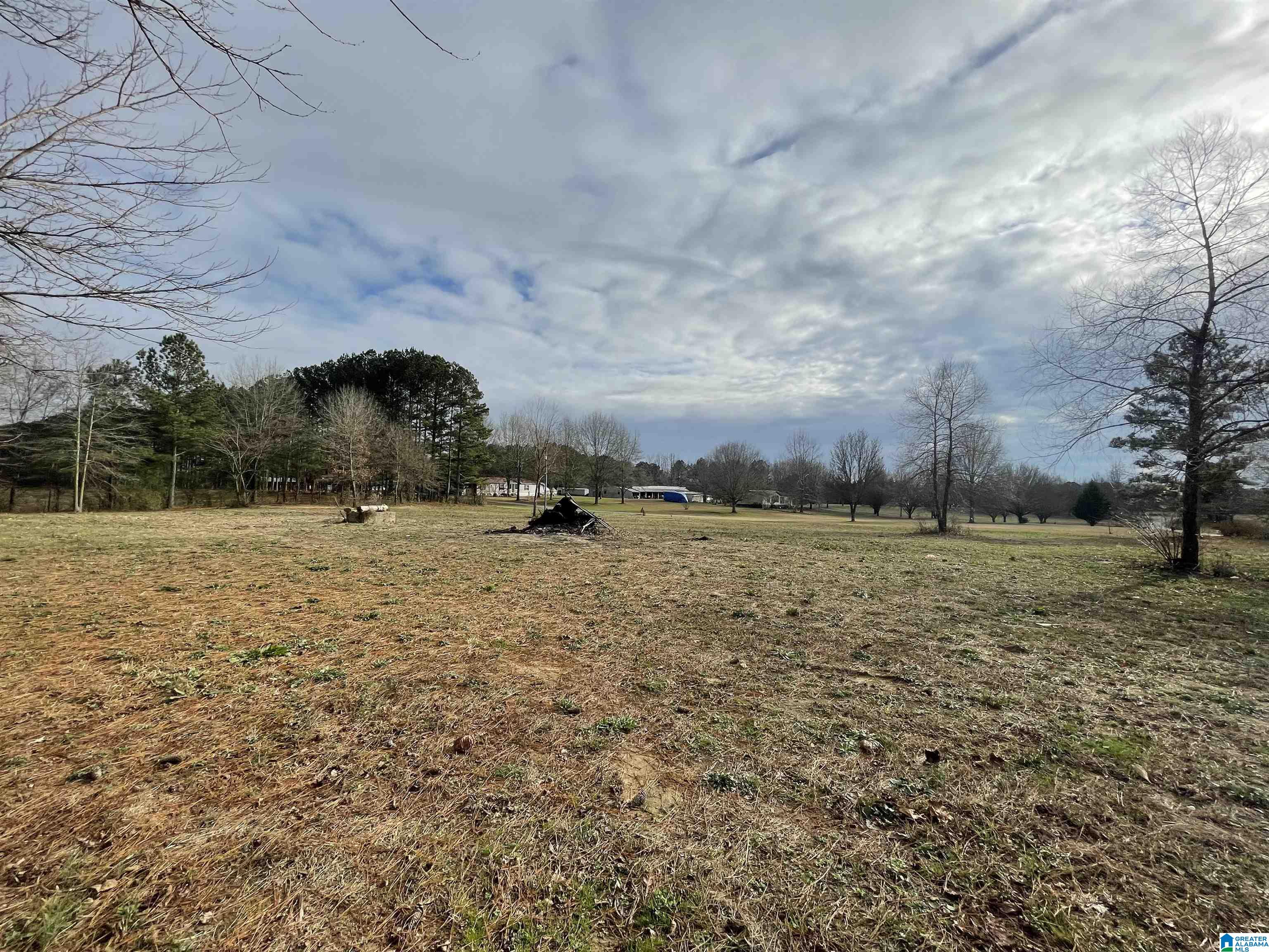 0 Old Eva Road Eva, AL 35621 - Photo 9 of 10