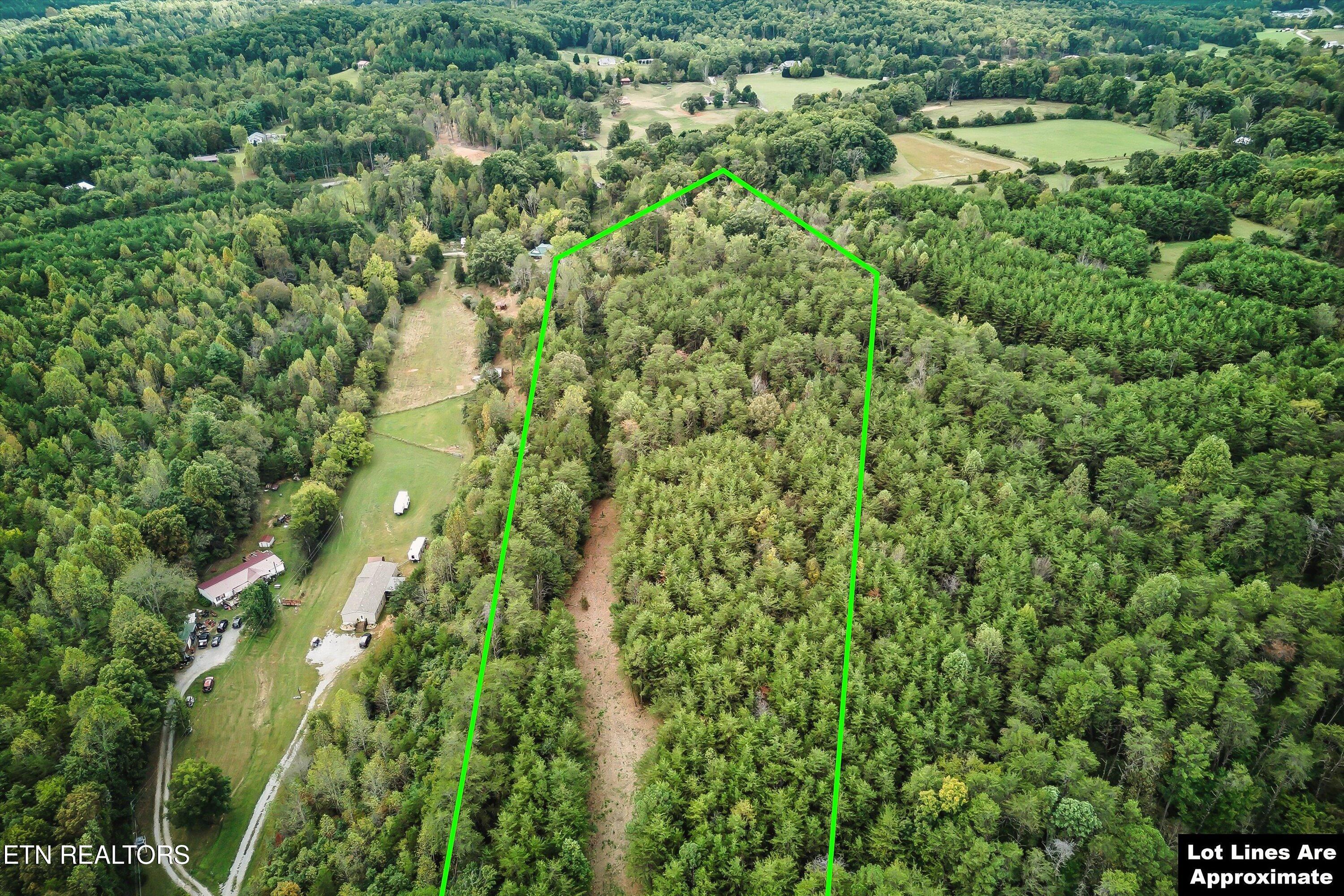 173 Akins Road Tellico Plains, TN 37385 - Photo 11 of 28 20-173 Atkins Rd-20