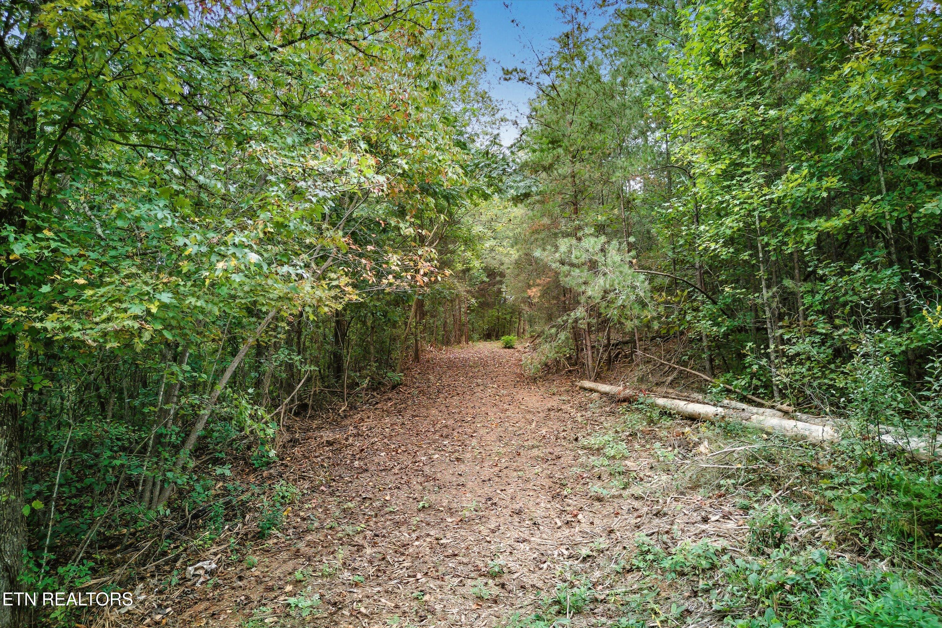 173 Akins Road Tellico Plains, TN 37385 - Photo 12 of 28 22-173 Atkins Rd-22