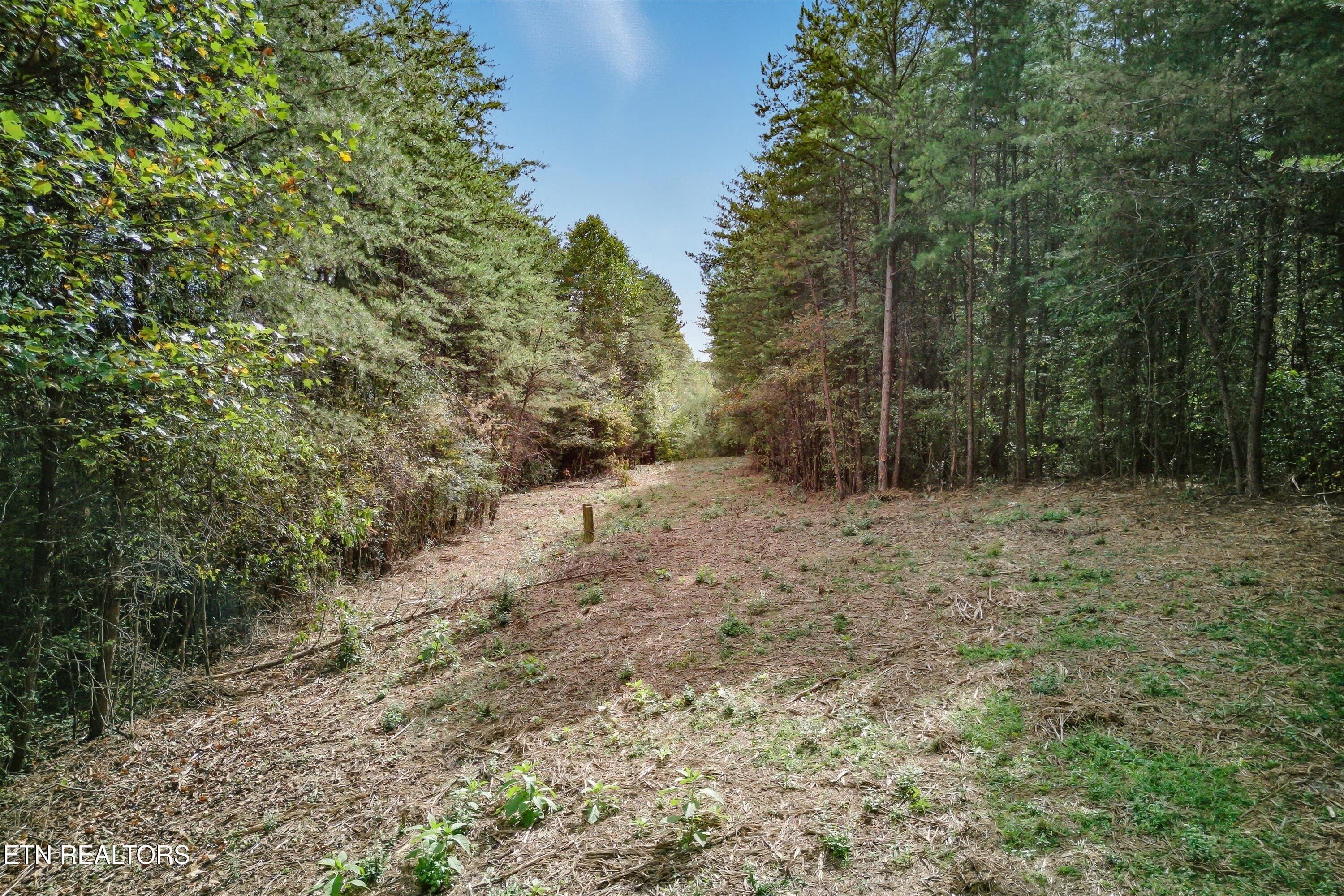 173 Akins Road Tellico Plains, TN 37385 - Photo 13 of 28 23-173 Atkins Rd-23