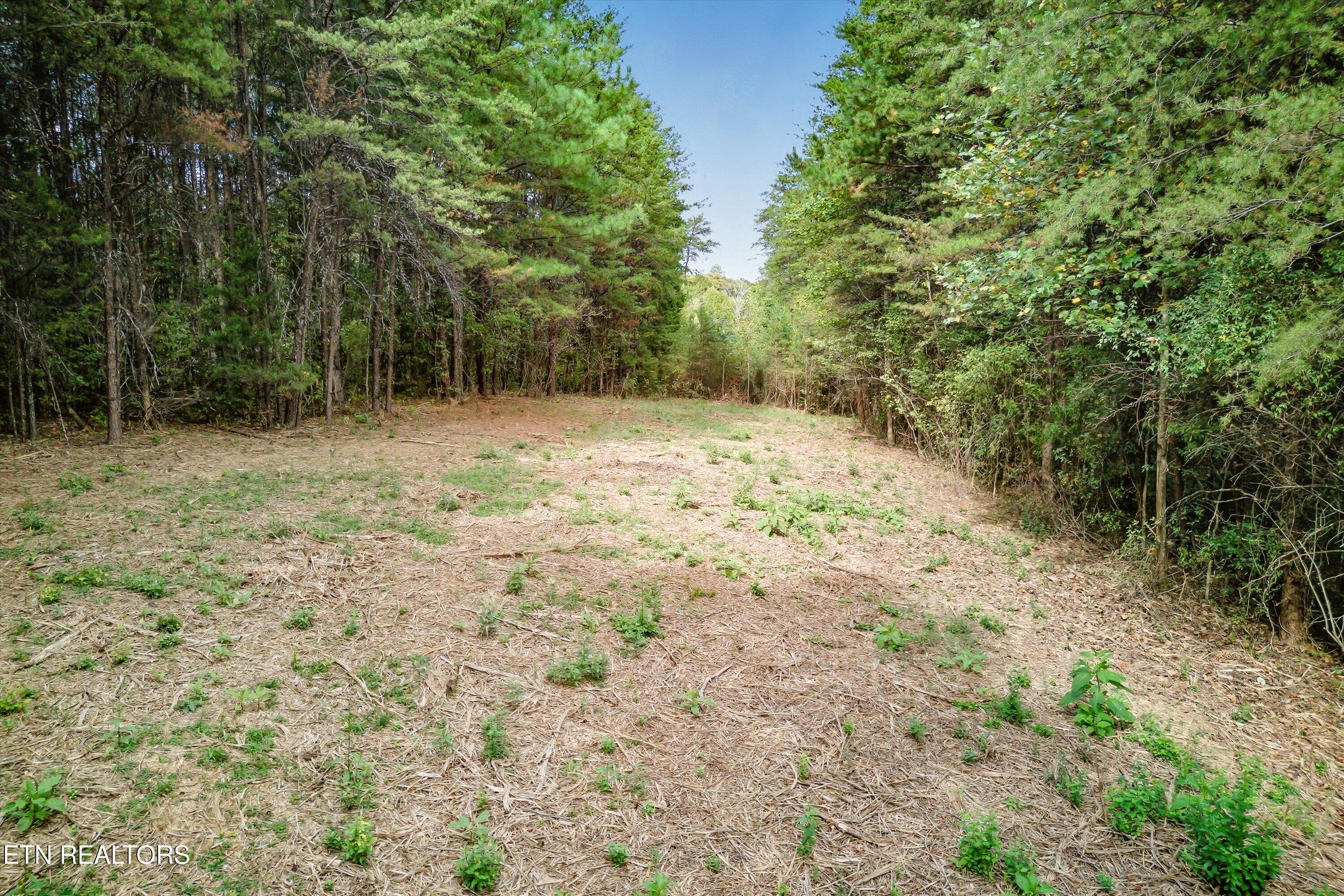 173 Akins Road Tellico Plains, TN 37385 - Photo 14 of 28 24-173 Atkins Rd-24