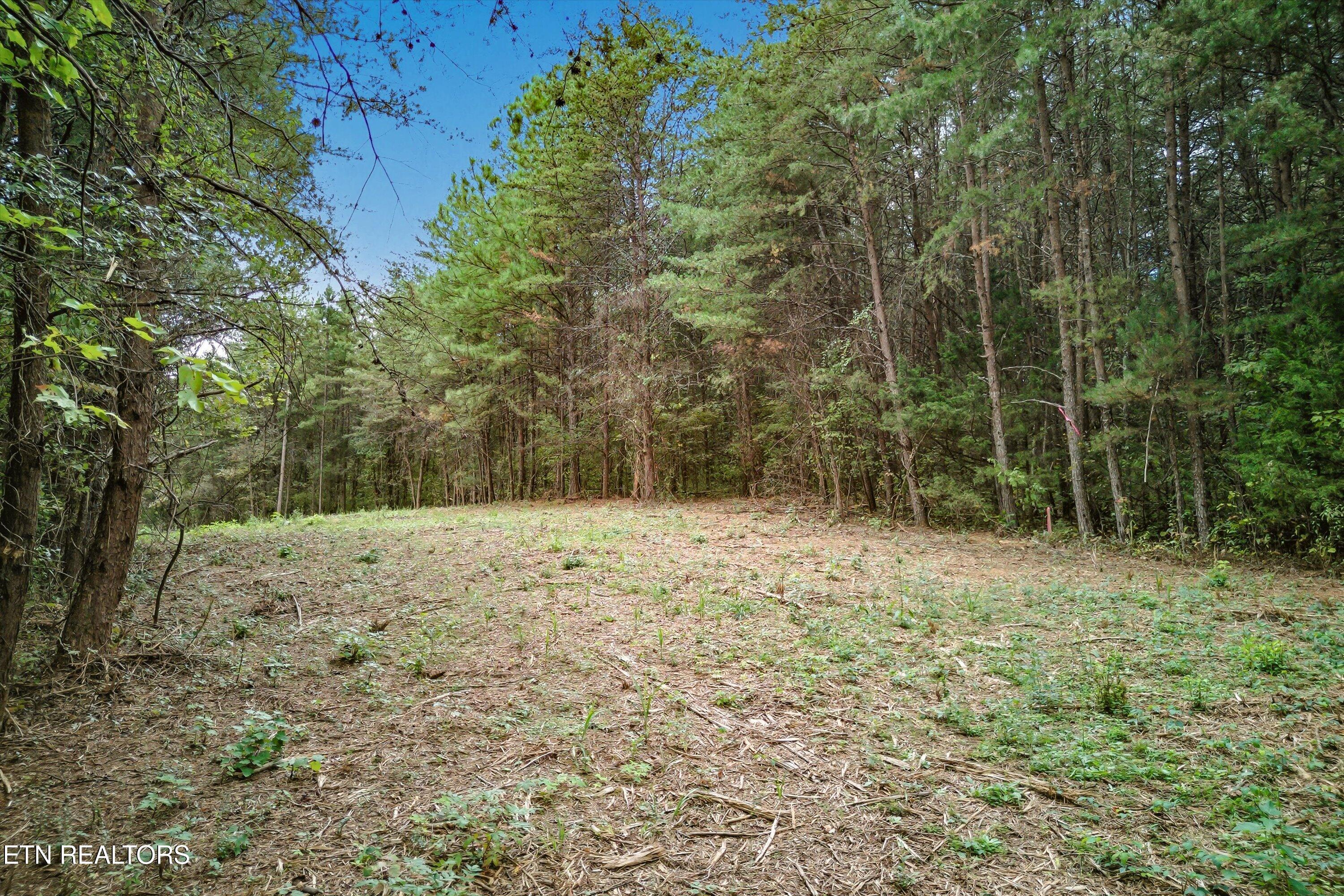 173 Akins Road Tellico Plains, TN 37385 - Photo 15 of 28 25-173 Atkins Rd-25