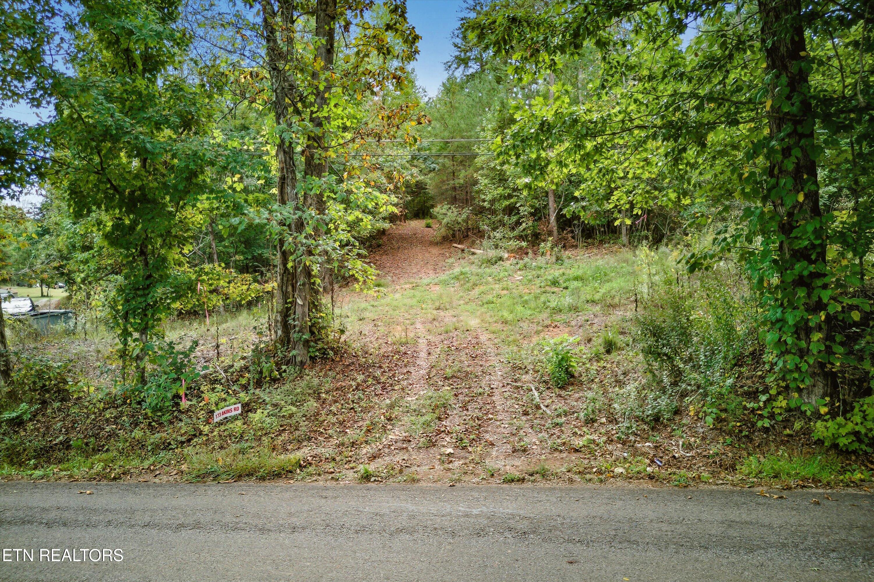 173 Akins Road Tellico Plains, TN 37385 - Photo 18 of 28 28-173 Atkins Rd-28