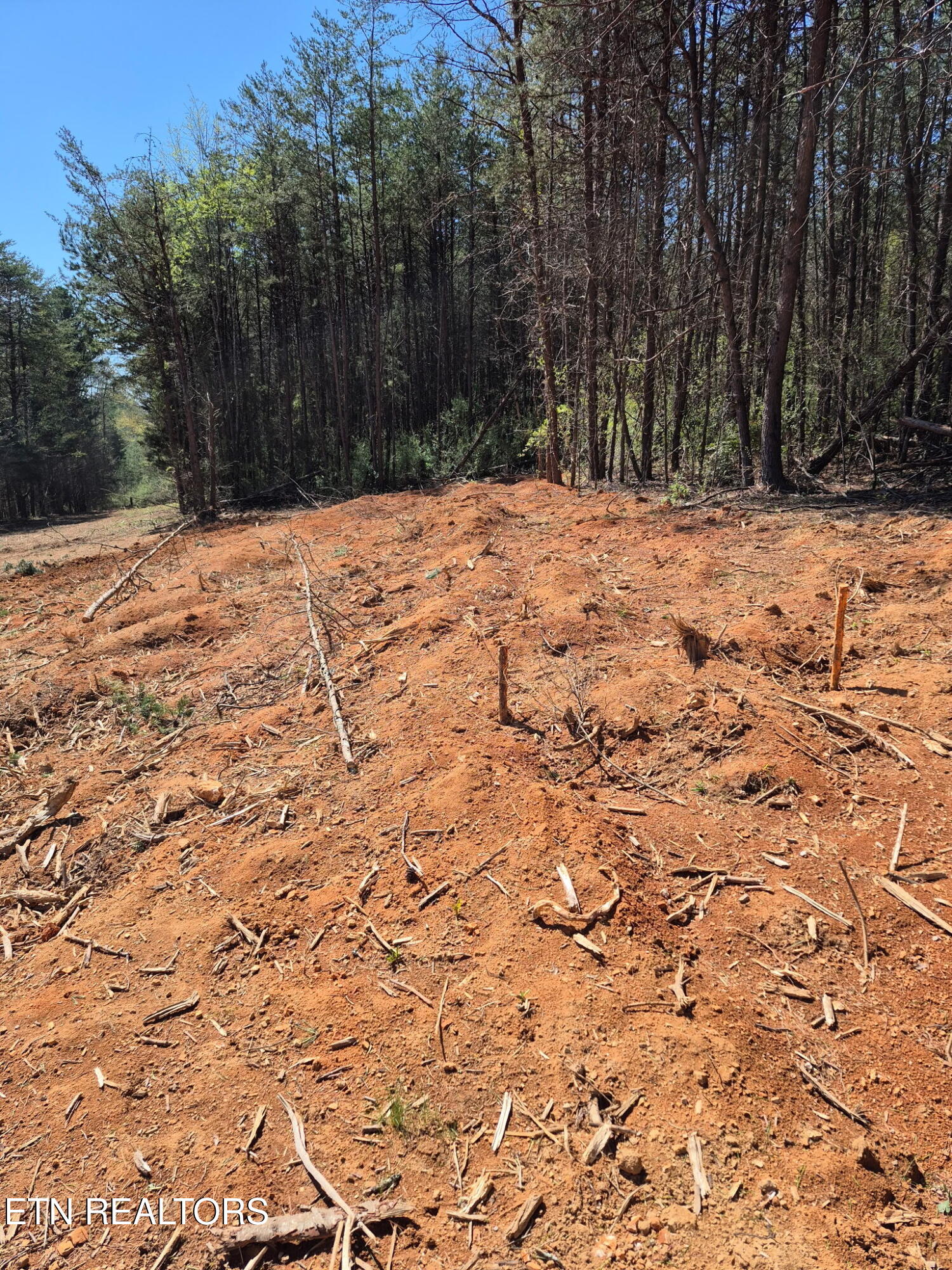 173 Akins Road Tellico Plains, TN 37385 - Photo 20 of 28 10758