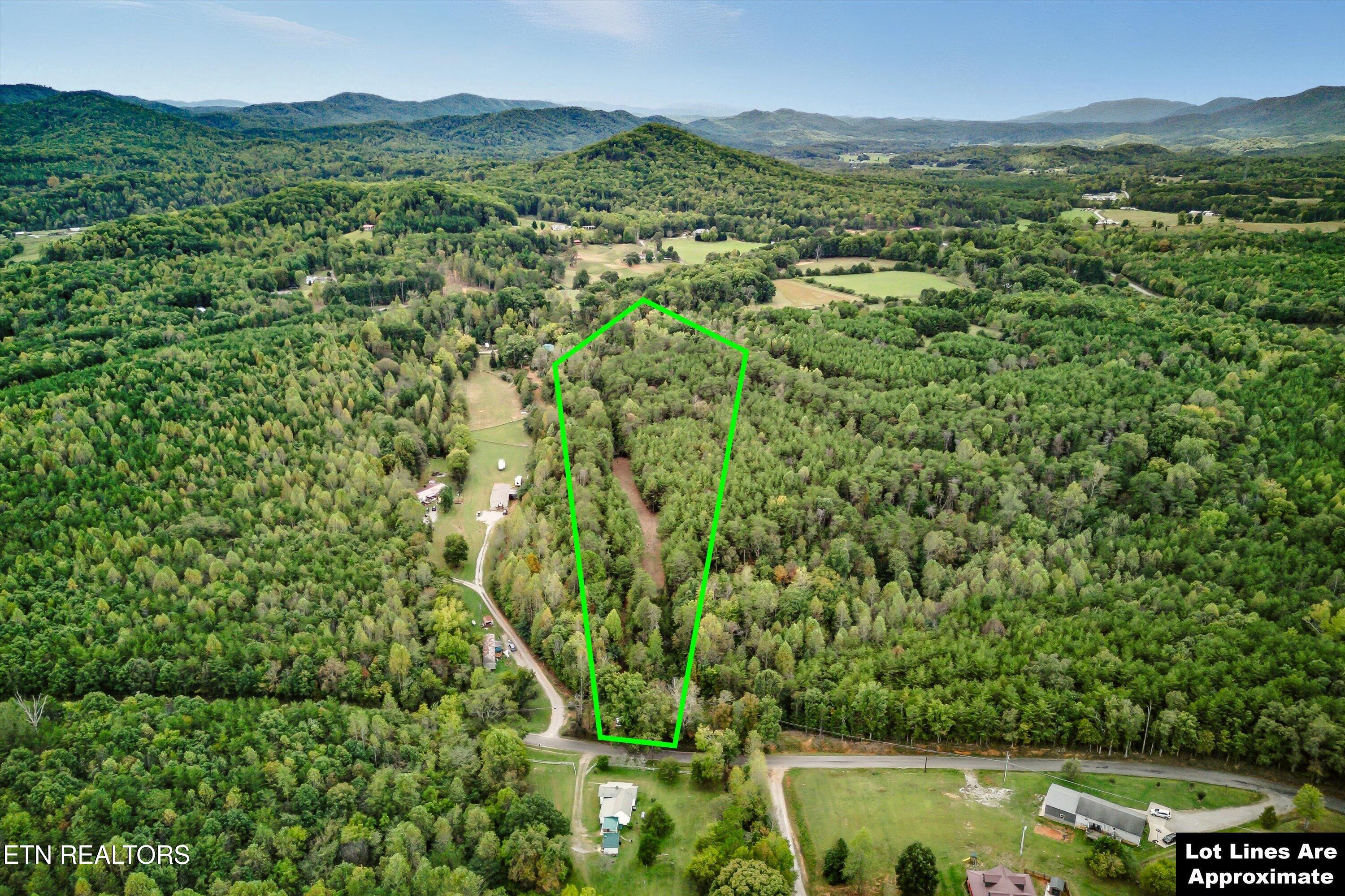 173 Akins Road Tellico Plains, TN 37385 - Photo 2 of 28 03-173 Atkins Rd-3