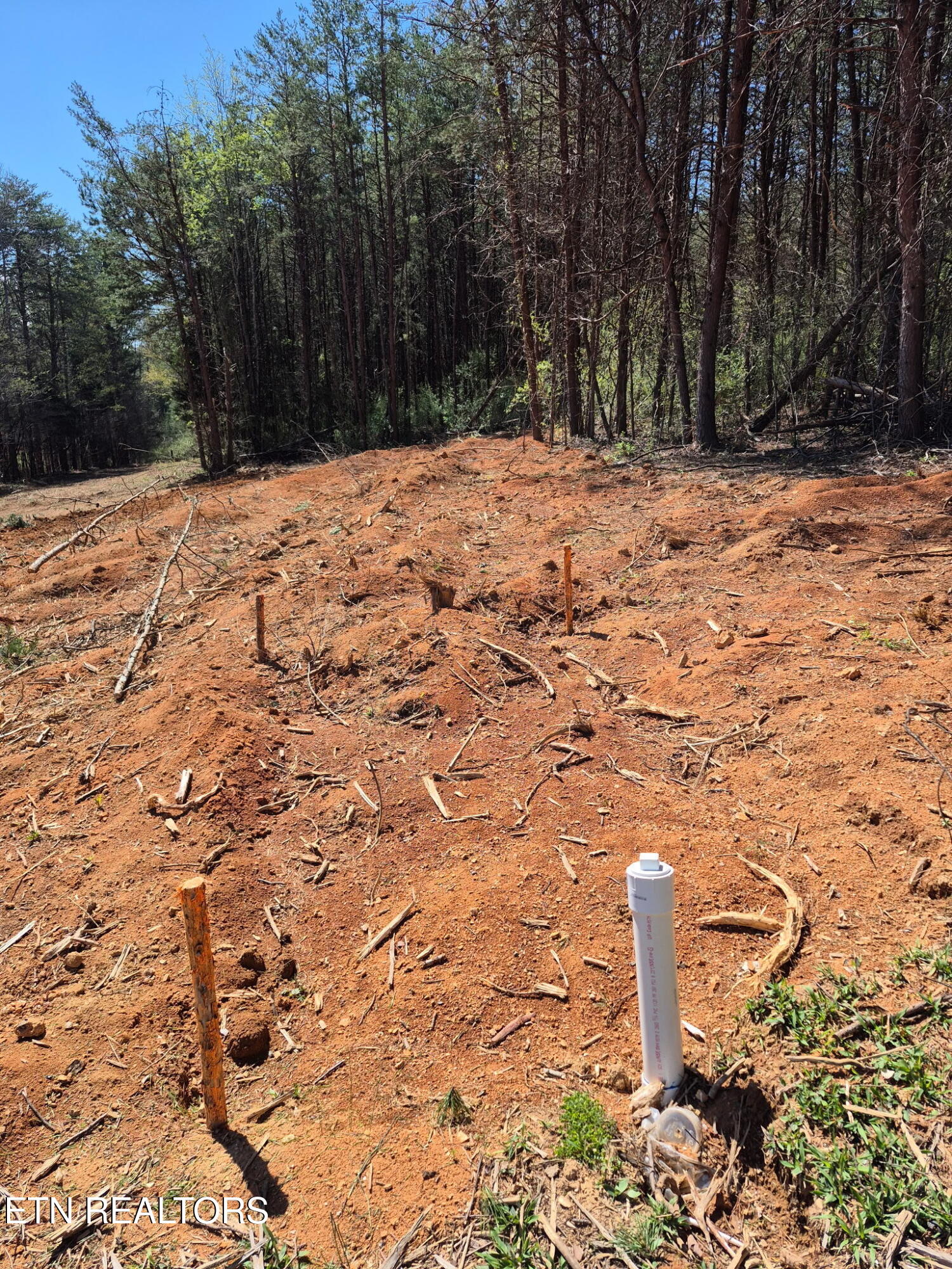 173 Akins Road Tellico Plains, TN 37385 - Photo 21 of 28 10759