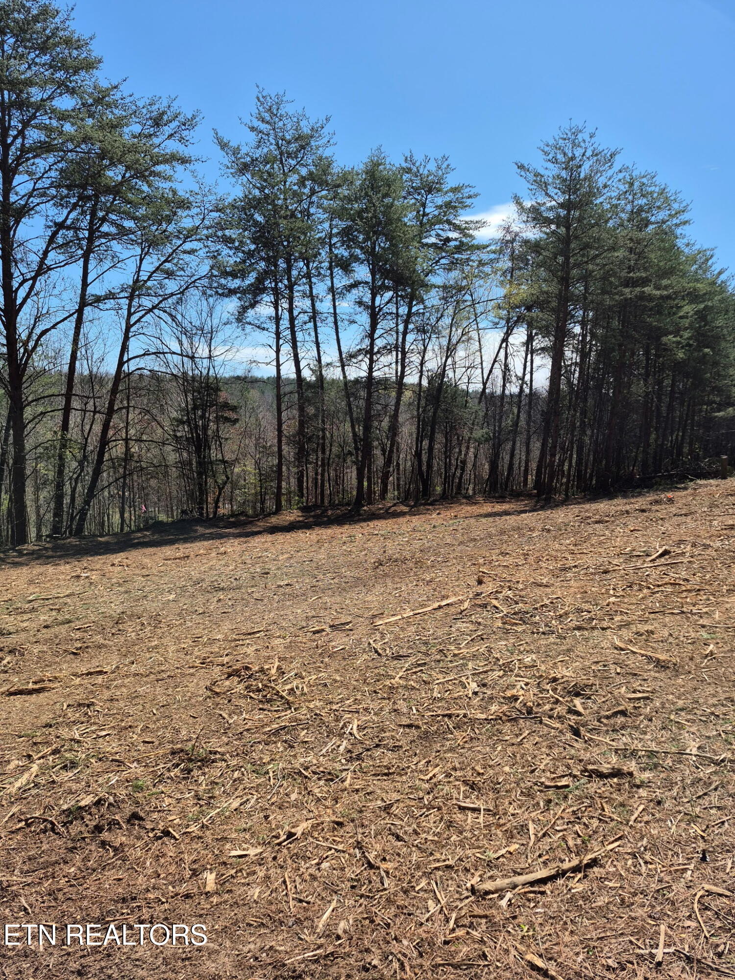 173 Akins Road Tellico Plains, TN 37385 - Photo 22 of 28 10762