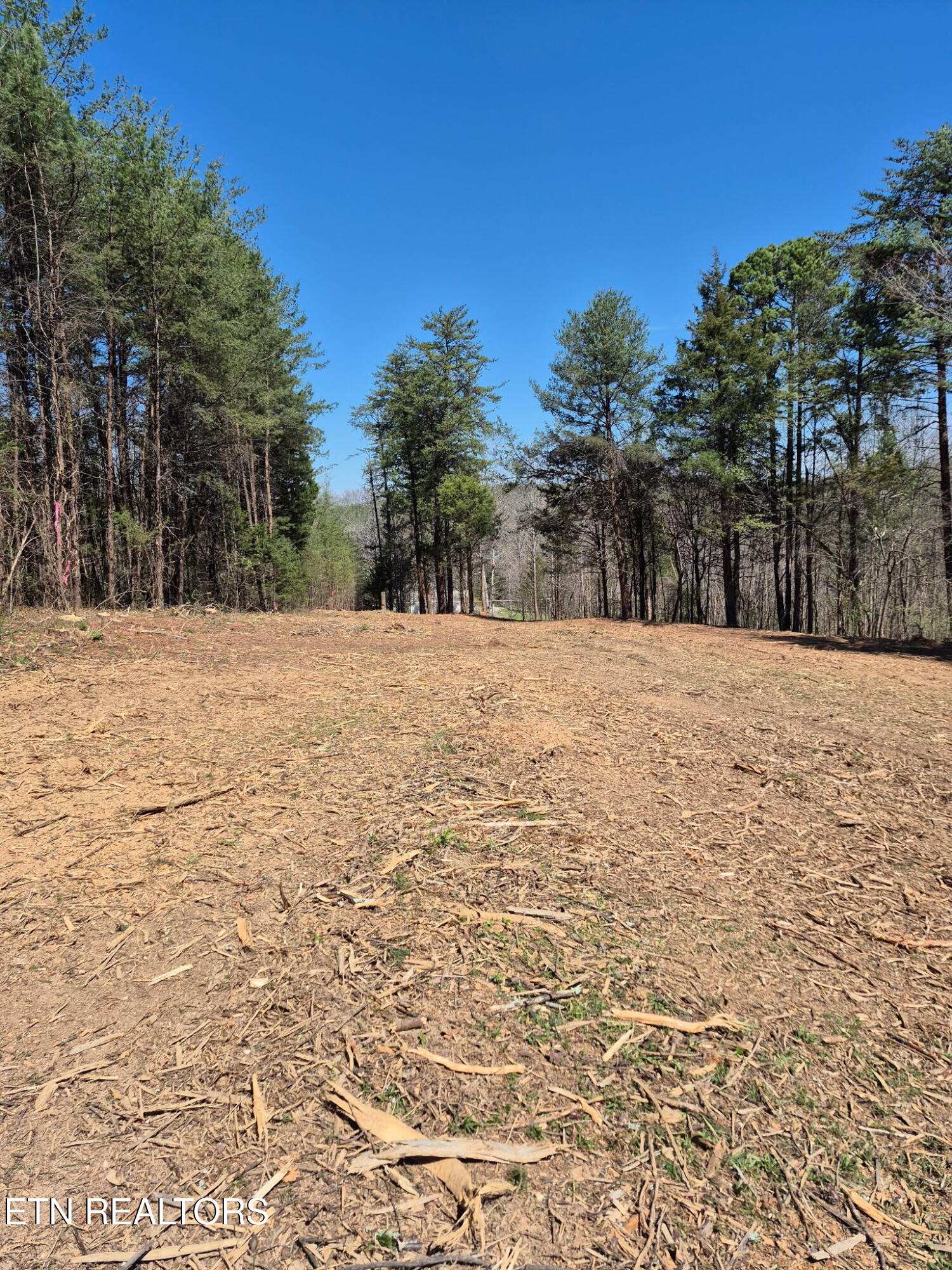 173 Akins Road Tellico Plains, TN 37385 - Photo 23 of 28 10763