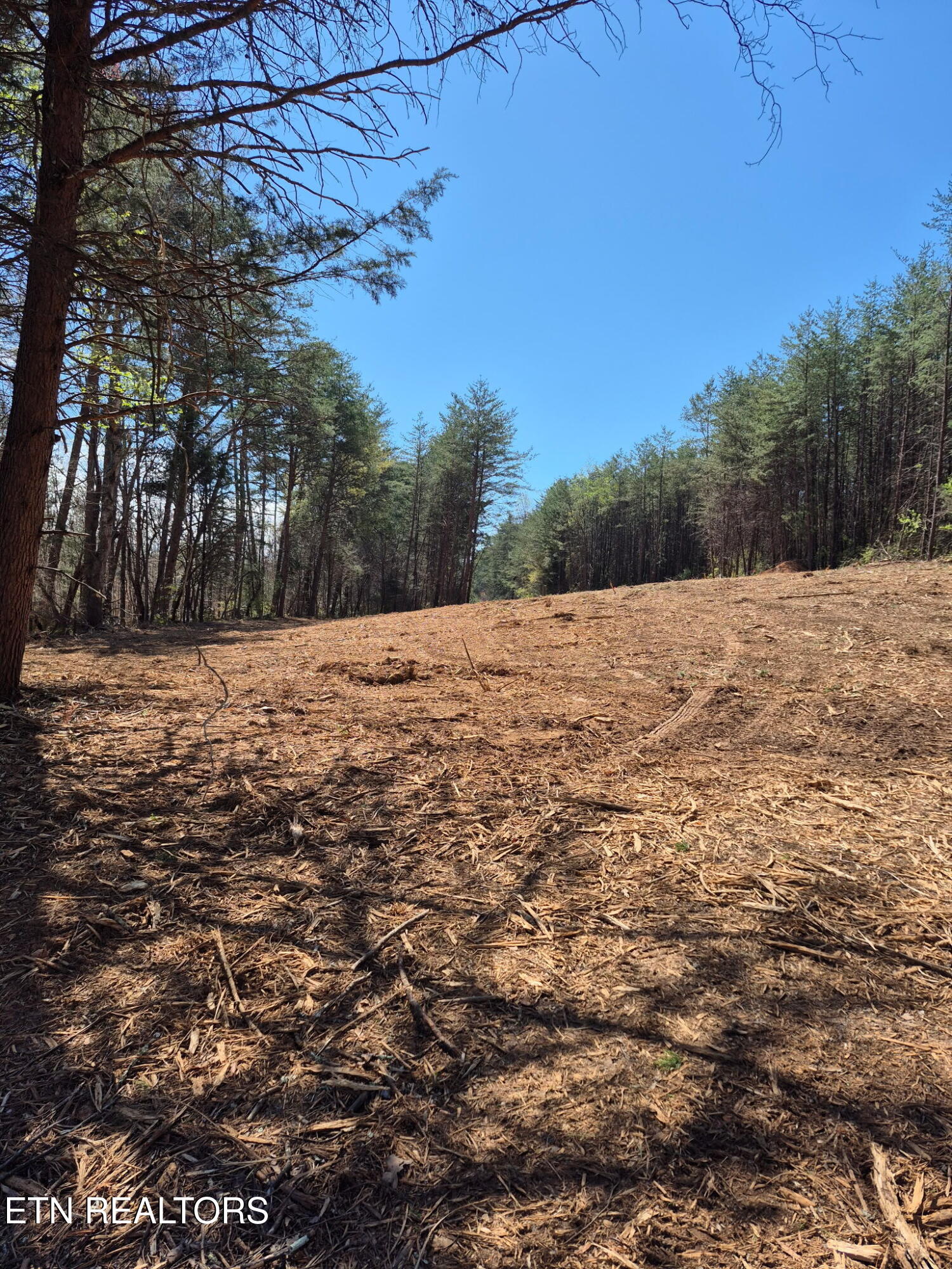 173 Akins Road Tellico Plains, TN 37385 - Photo 24 of 28 10765